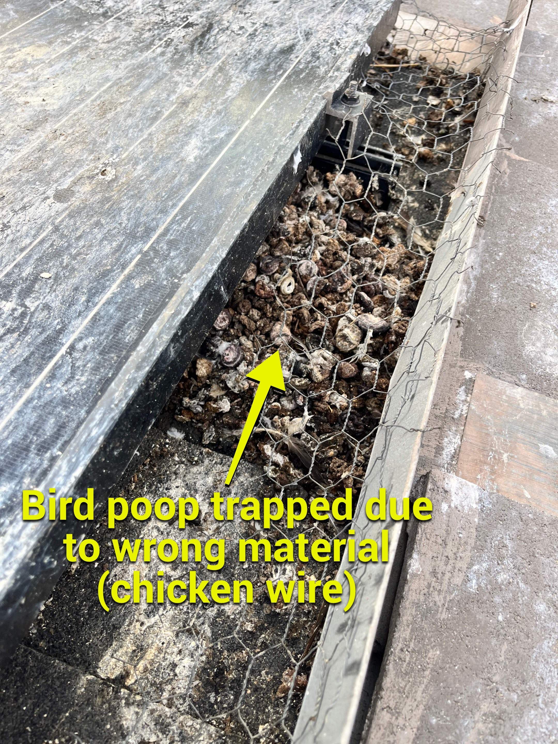 Failed Bird Proofing Installations by Palm Coast Solar Cleaning