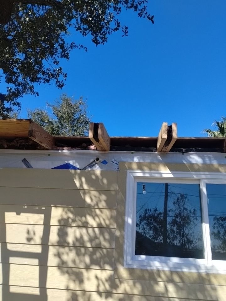 Olive you a Lot! by Bayfront Roofing and Construction