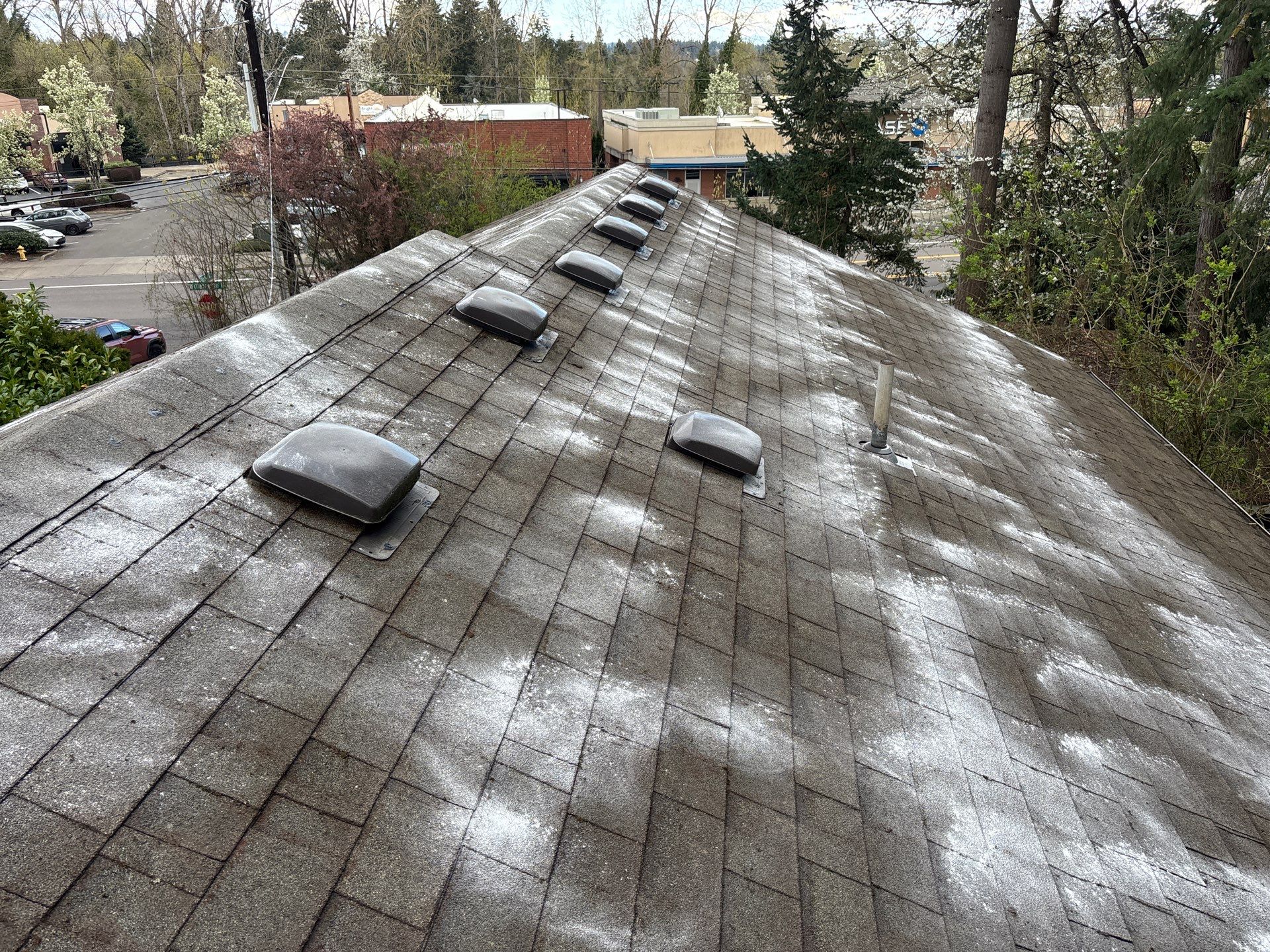 Roof Maintenance in West Linn by Prodigy Roof Solutions
