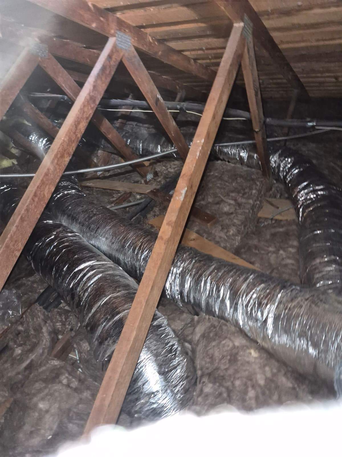 Project by Advanced Attic Solutions by Advanced Attic Solutions