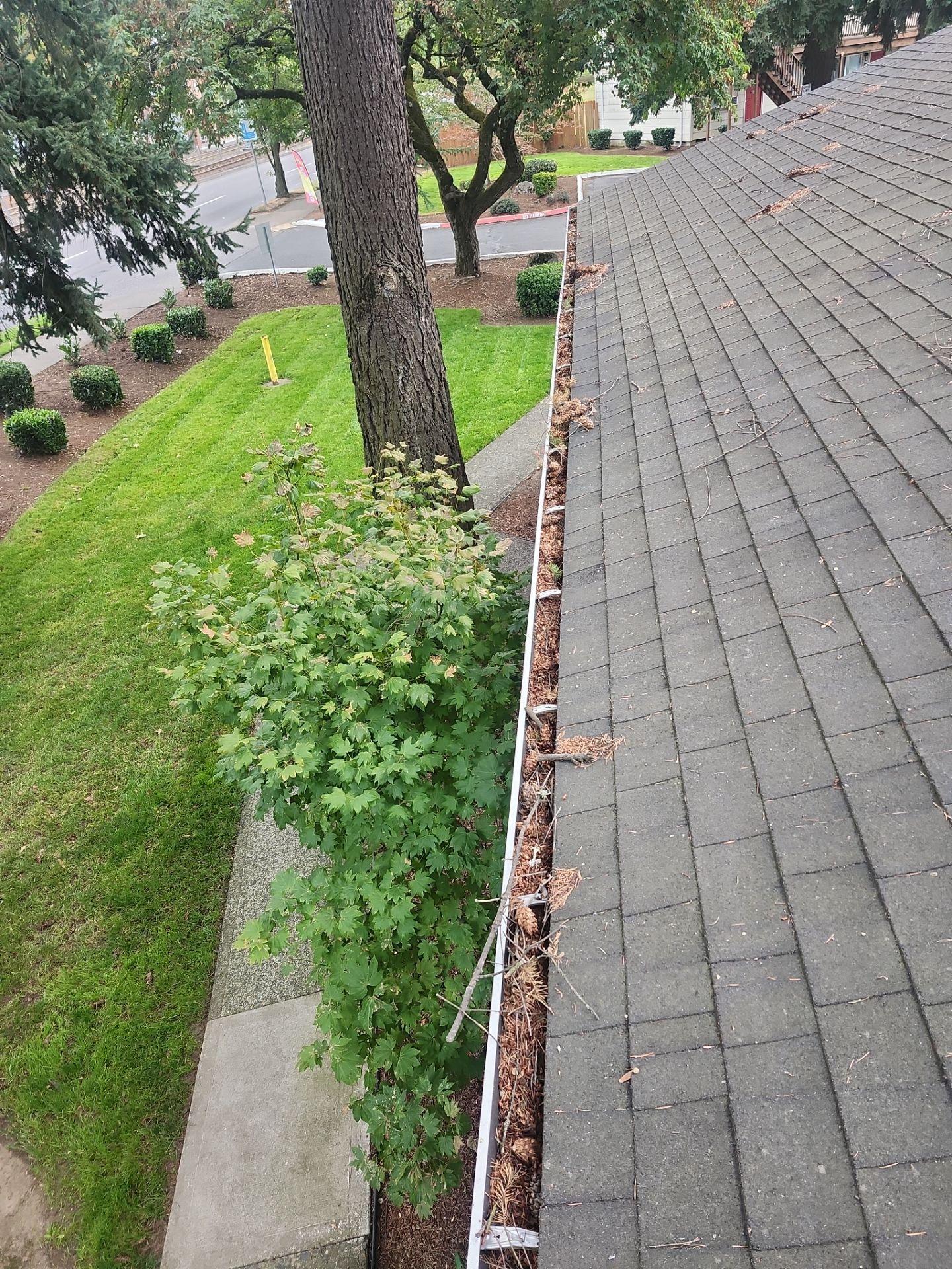 Commercial gutter cleaning Portland, OR before photo with filled gutters