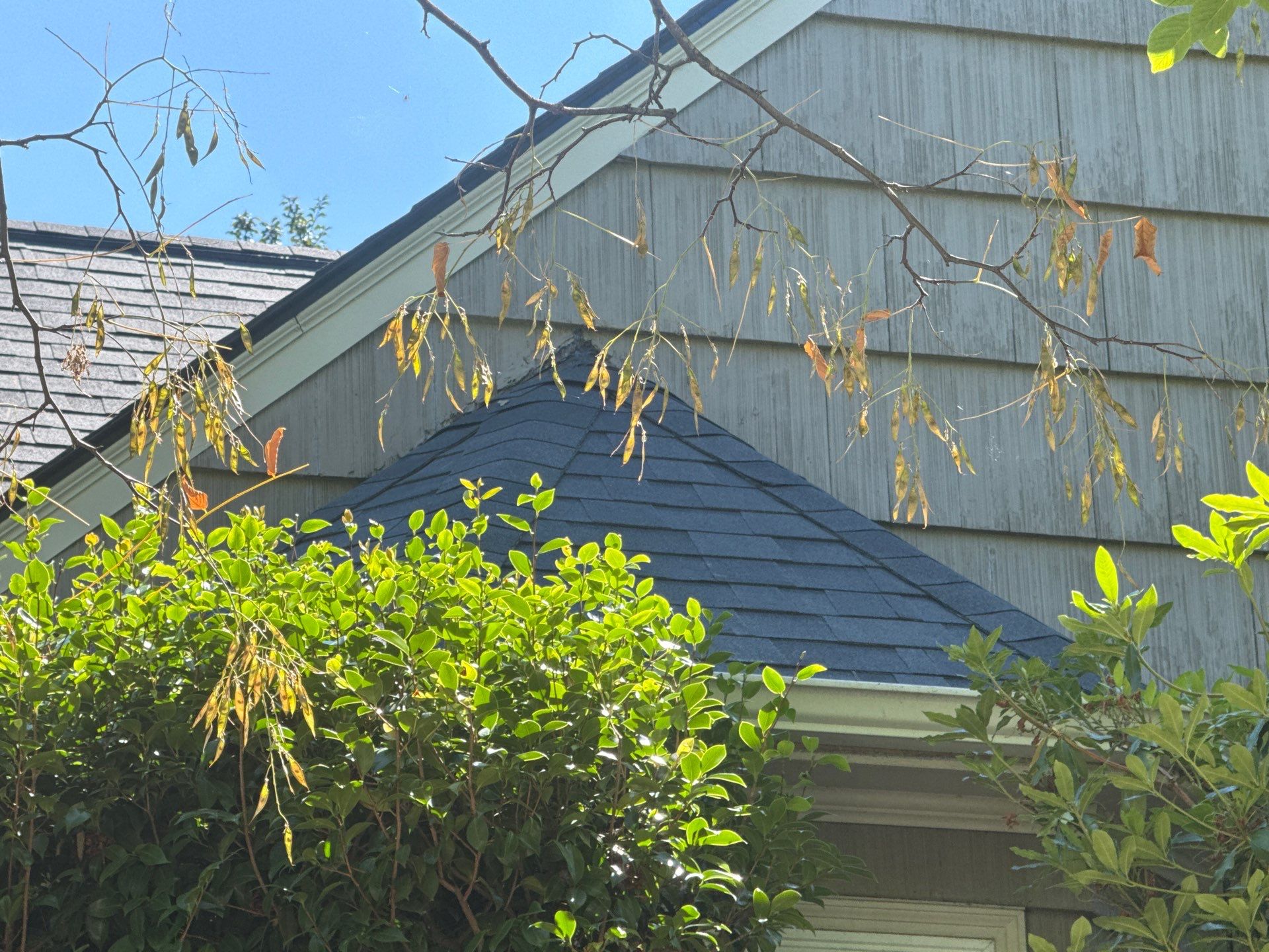 Project in Portland by Tom Leach Roofing