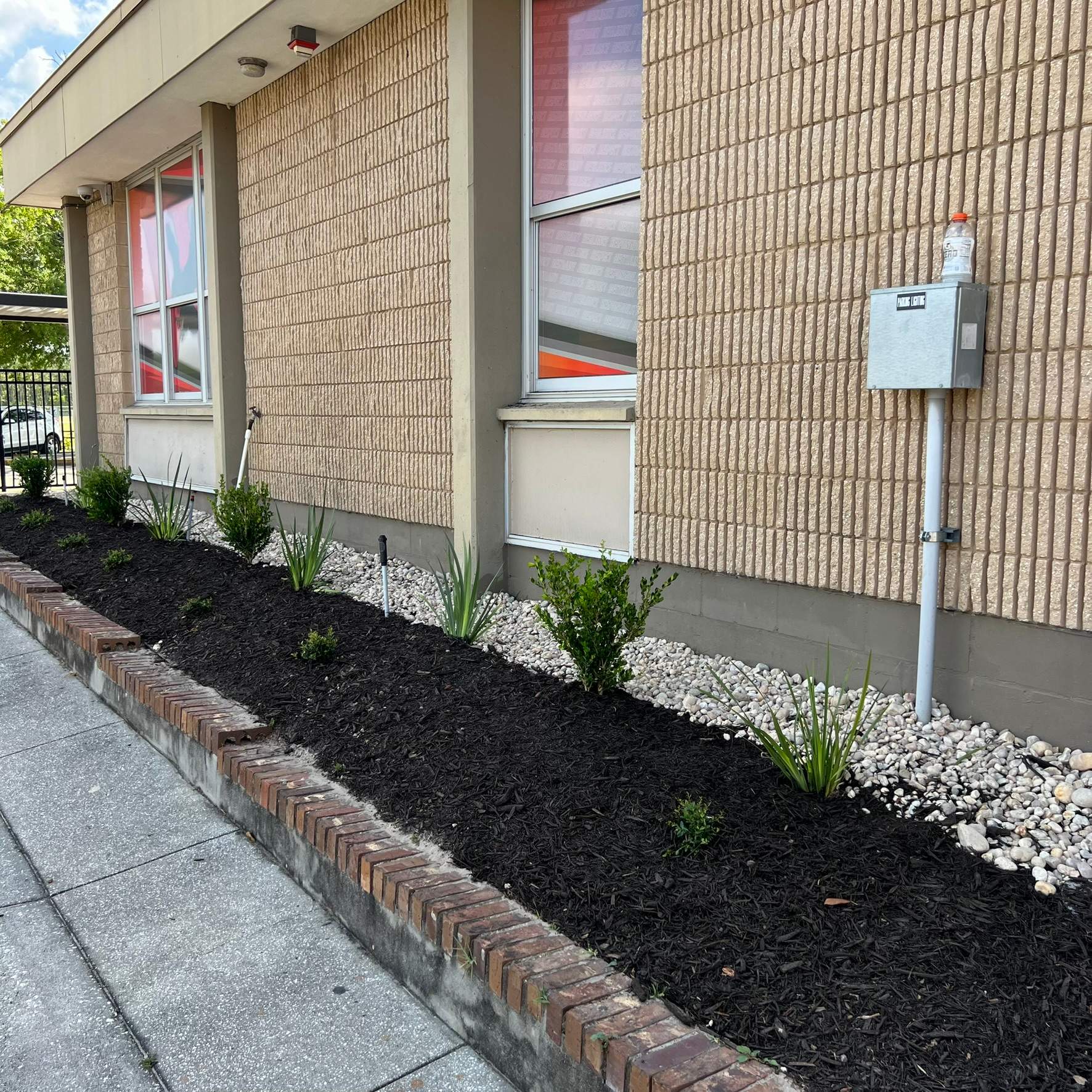 Landscape Install | Wilkinson JHS by ProGreen Services