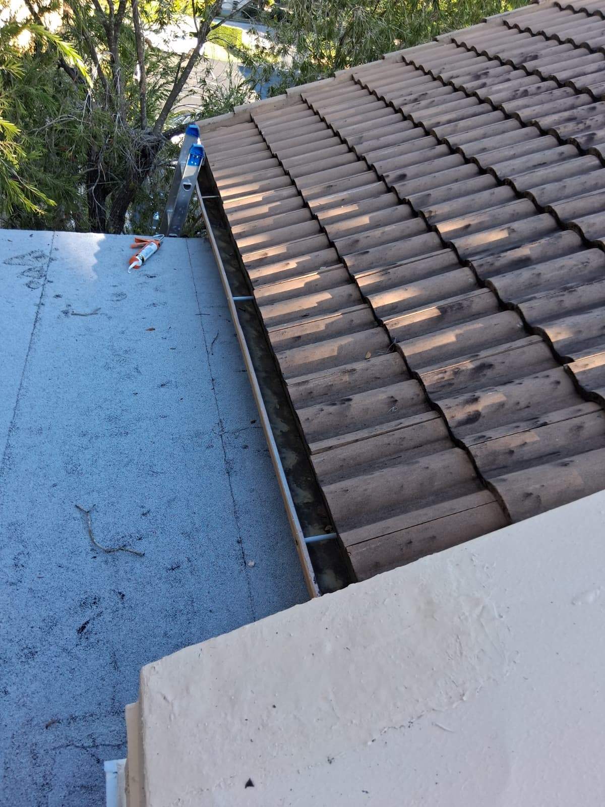 Gutter Cleaning Service in Sarasota FL by Gutter Professors