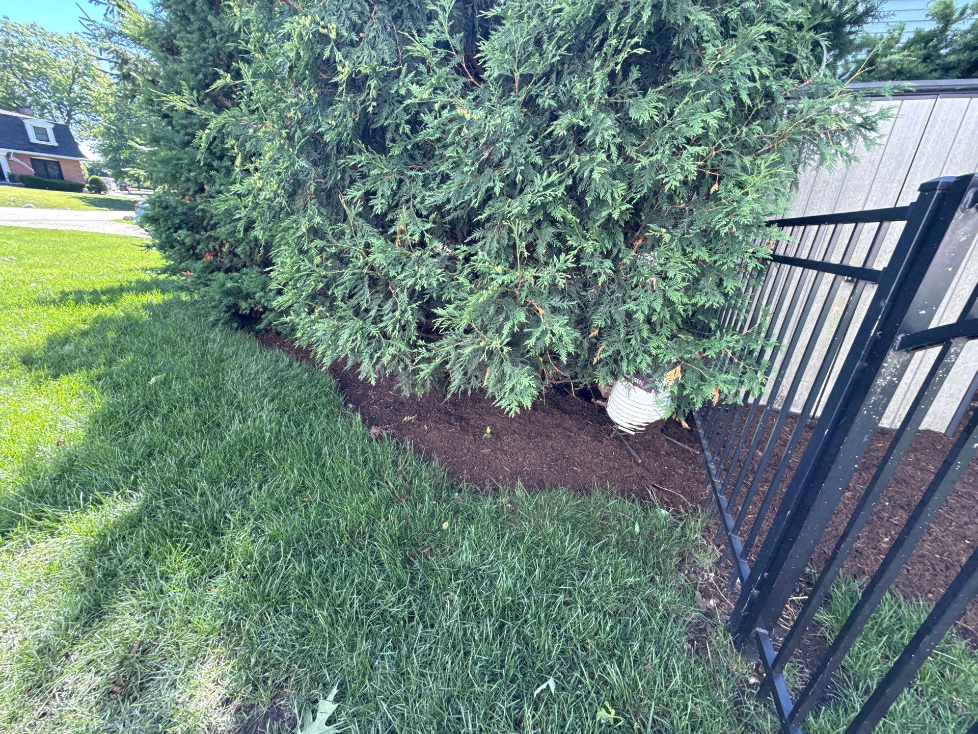 Lesley D. - Arlington Heights, IL by A&N 