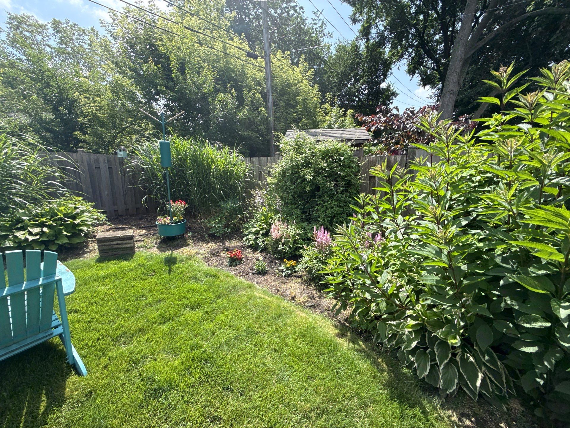 Cheris B. - Mount Prospect, IL by A&N 