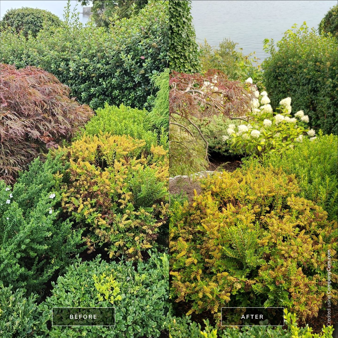 Garden Care - Central Saanich by Habanero Garden and Exterior Care