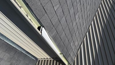Turtle Shell gutter protection installation in Plainfield, IL 60585, photograph 9