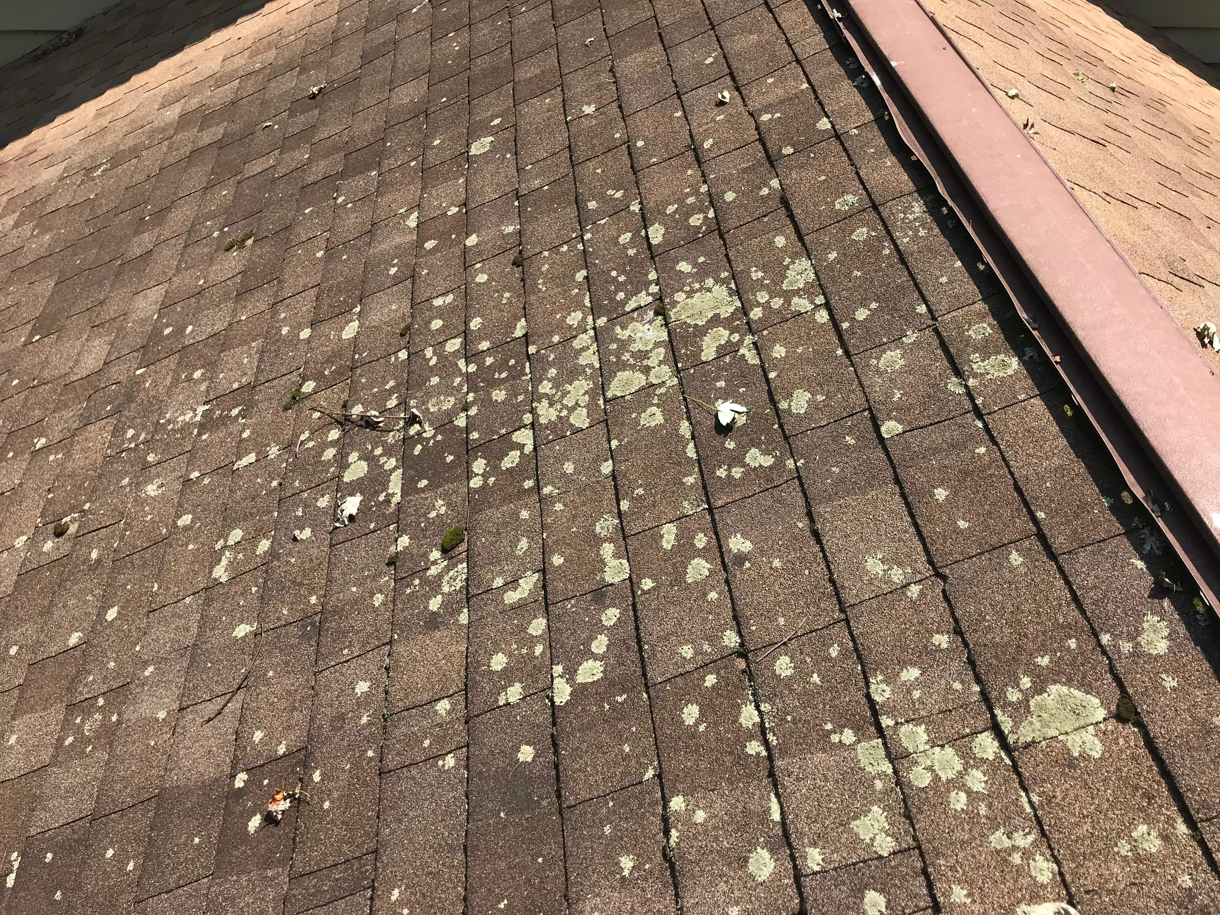 Residential Roofing Installation using Landmark Shingles Color Weatherwood by Alpha Design Services