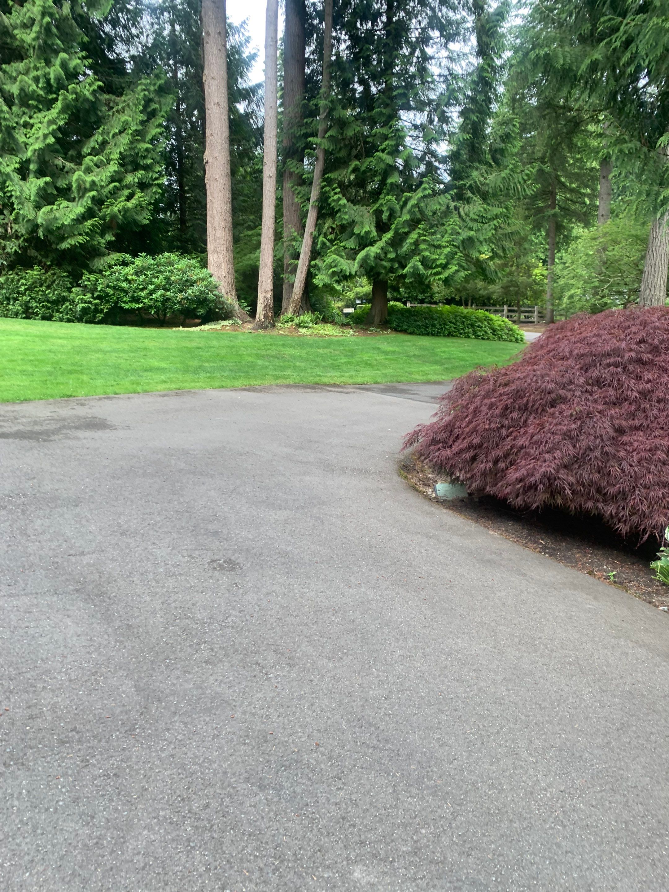 Norm | Asphalt Driveway Repair  by Jireh Asphalt & Concrete Inc 