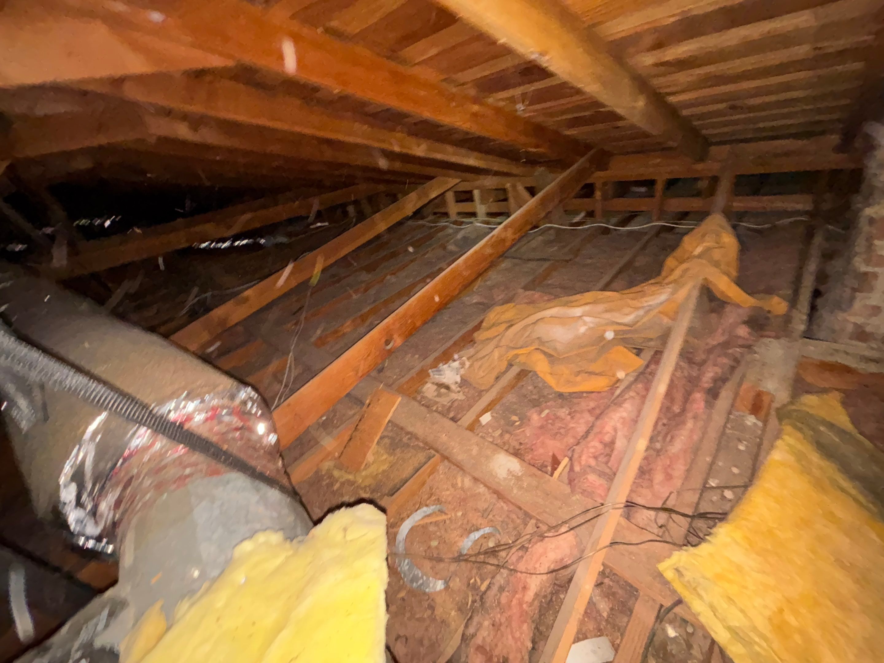 Project in La Cañada Flintridge by Insulation Labs