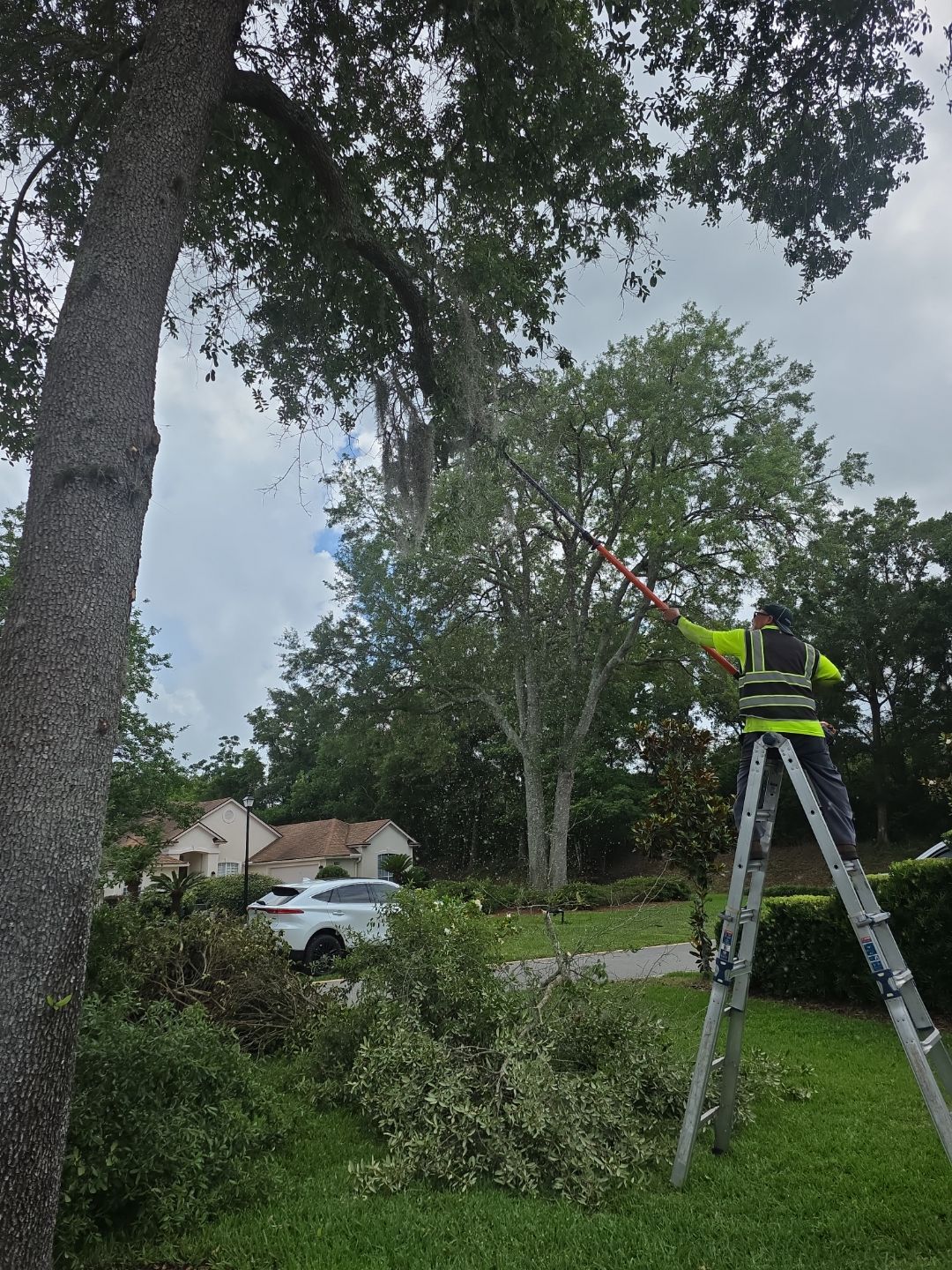 Deerwood Resident | Tree Trimming by ProGreen Services