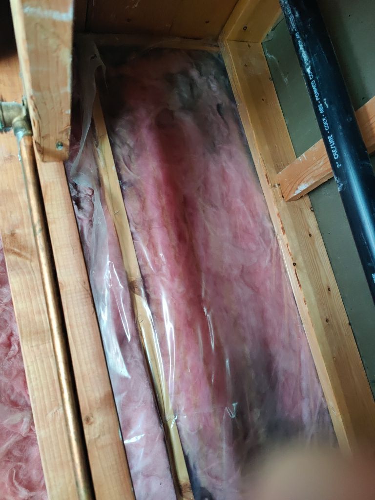 Mold Remediation  by Accountable Home Services