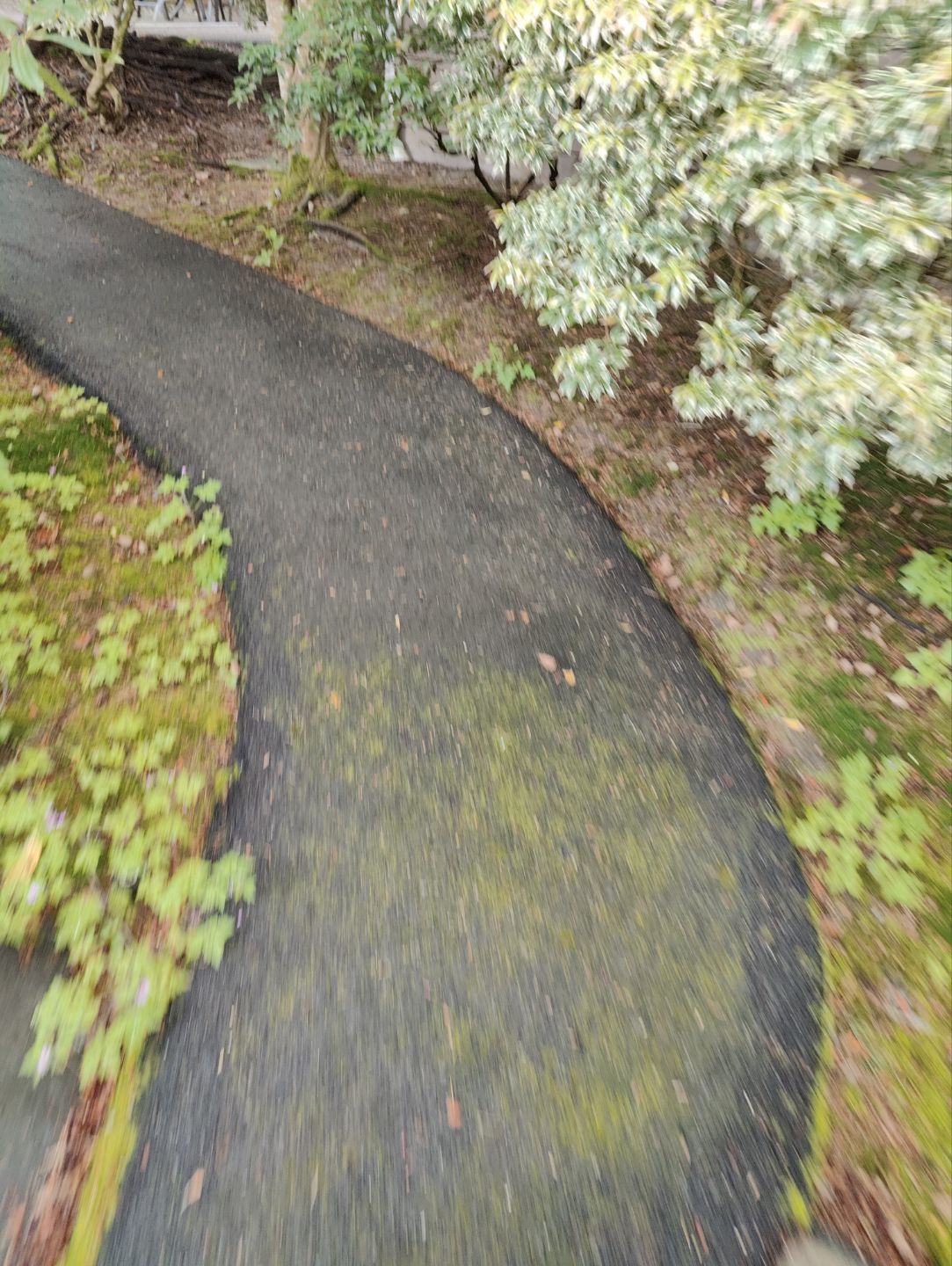 Premium Pressure Washing in Bellevue by WindowWorks