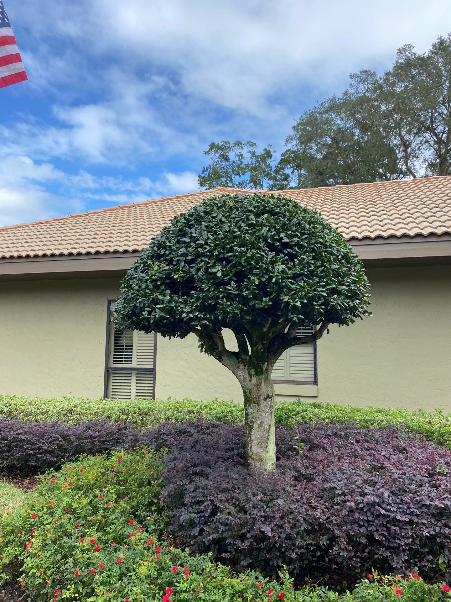 Deerwood Resident | Shrub Work by ProGreen Services