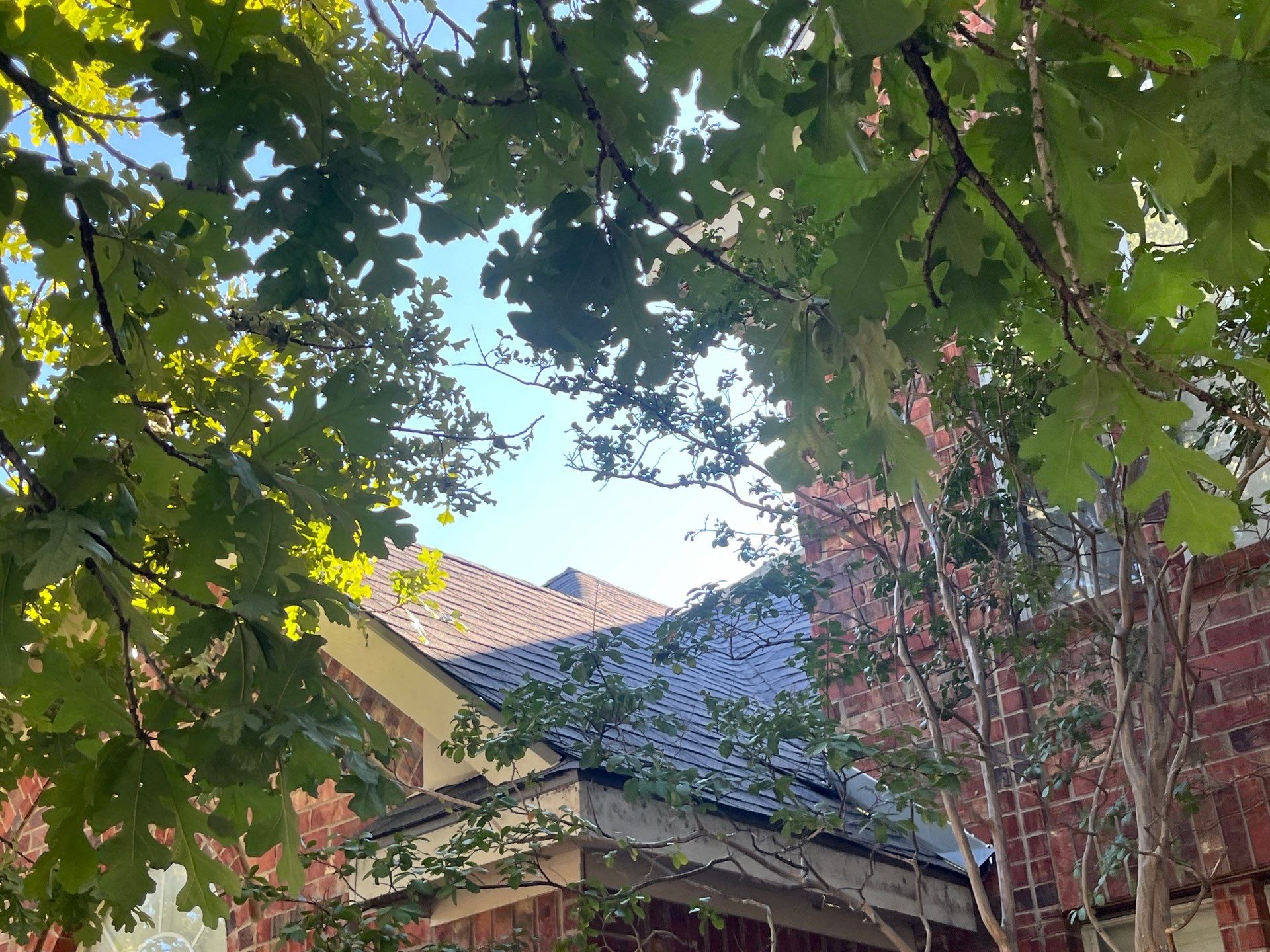 IKO Cornerstone-Dark Reddish Brown brick house  by Tejas Roofworks + Restoration