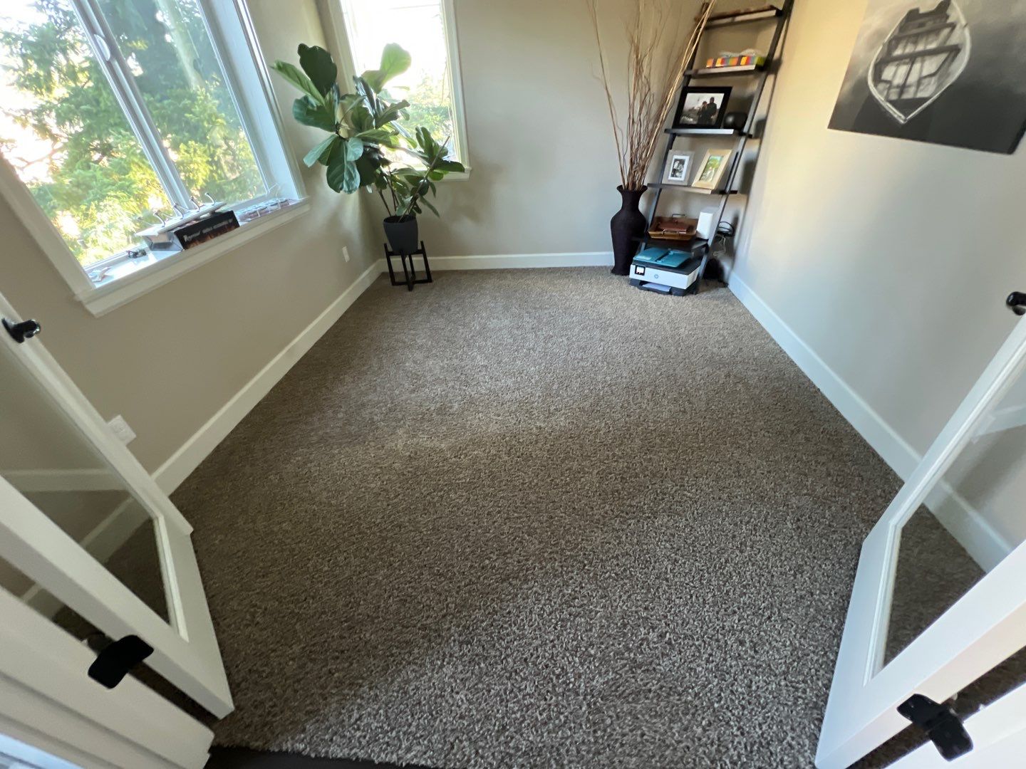 Carpet Cleaning in West Linn by Cloud 9 Professional Cleaning Services
