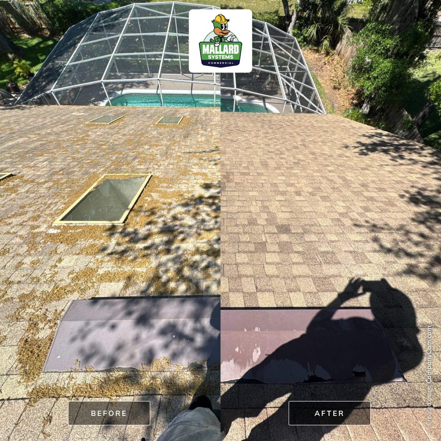 Shingle Roof Debris Removal and Cleaning by Mallard Systems