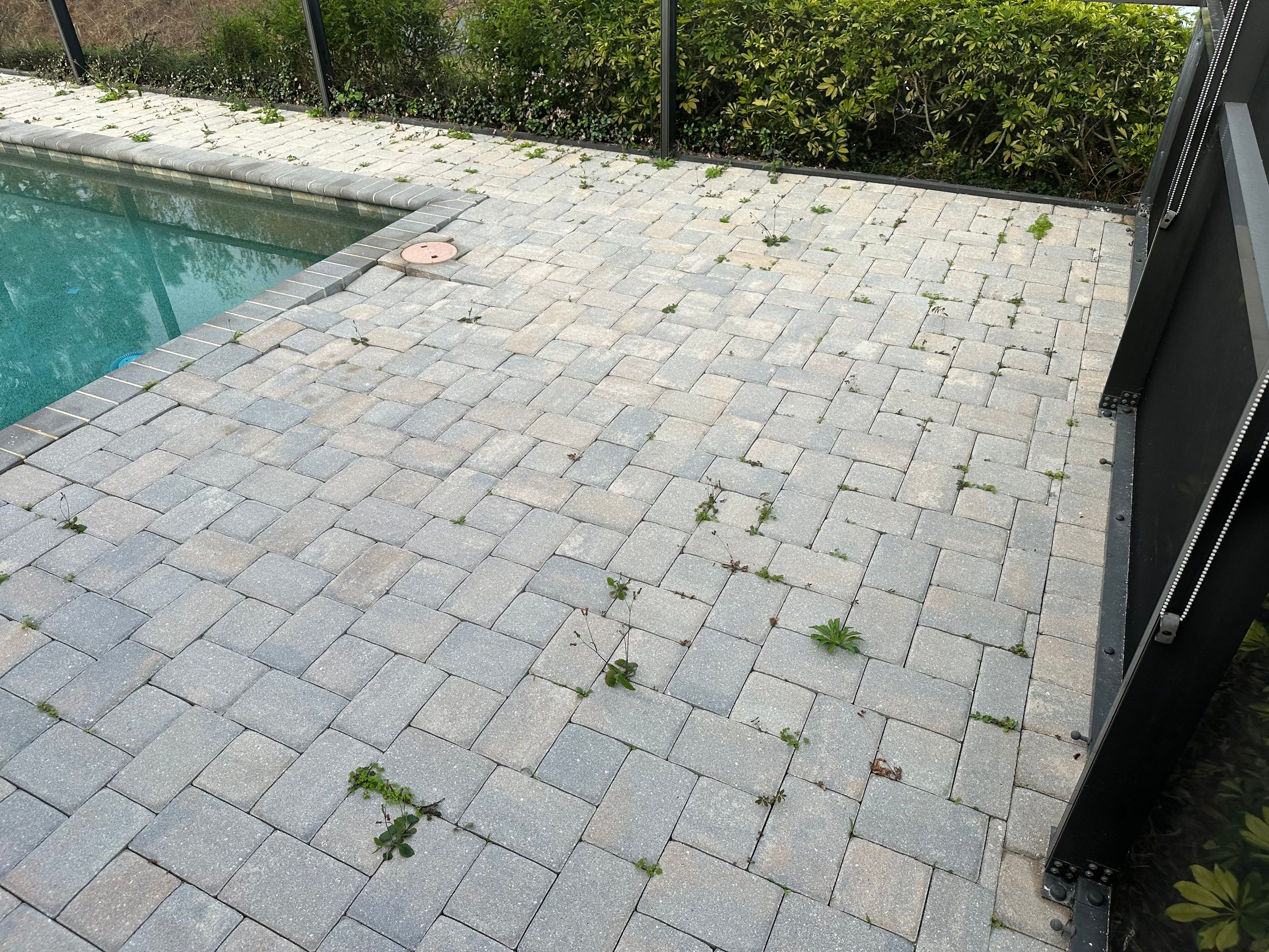 Concrete Tile Roof, Paver Pool Deck, Screen Enclosure & Driveway Cleaning in Artisan Lakes Esplanade, Palmetto, FL | Sunshine AquaWash by Sunshine AquaWash