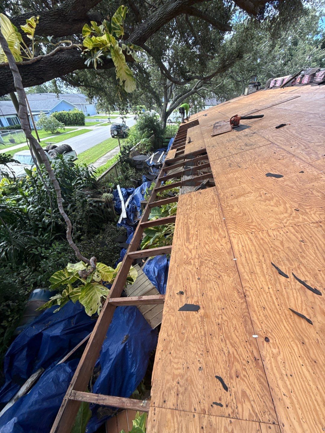 Project in Pinellas Park 33781 by Mitchell Roofing Company LLC 