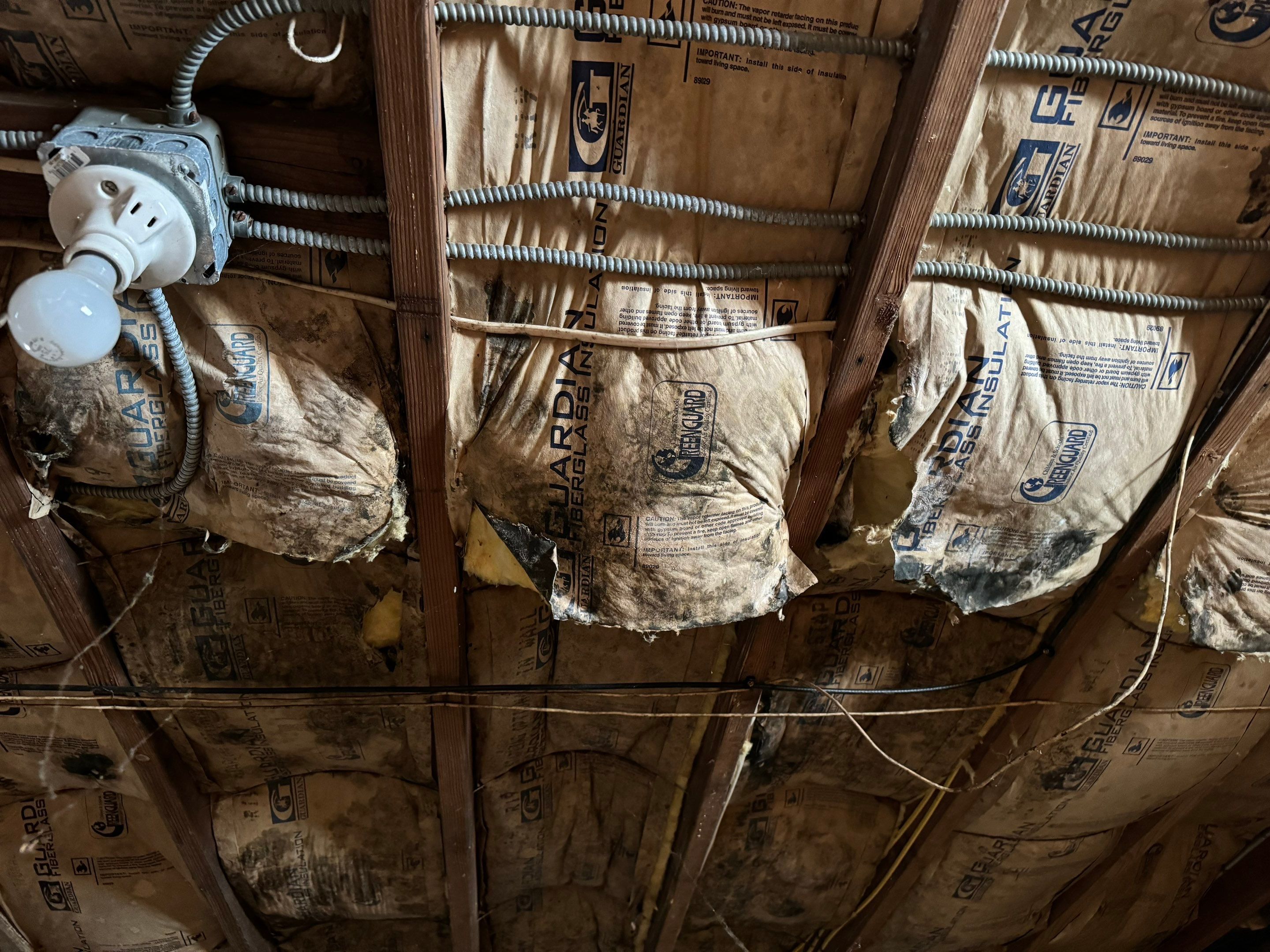 Basement Remediation by Home Guarantee, LLC