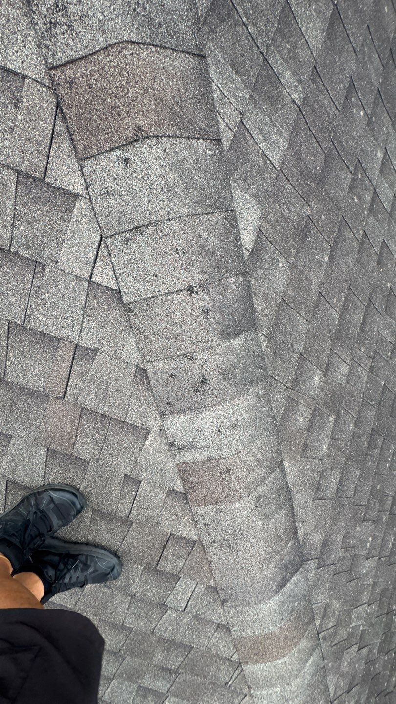 Franky Inspection by Boss Hogg Roofing