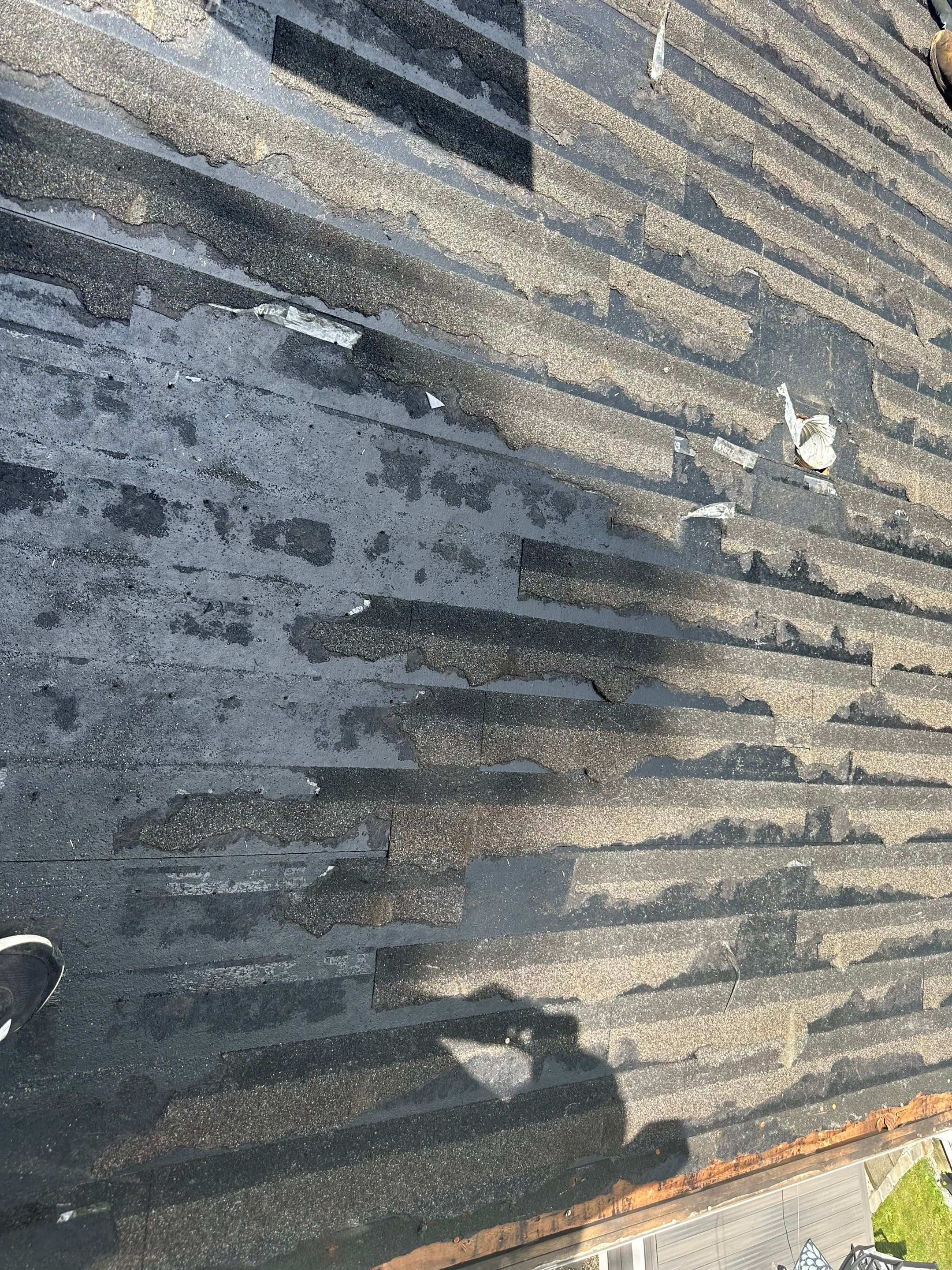 Portland, ME Roof Repair by Tall pine roofing