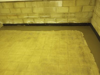Eliminating Moisture & Mold for Betsy