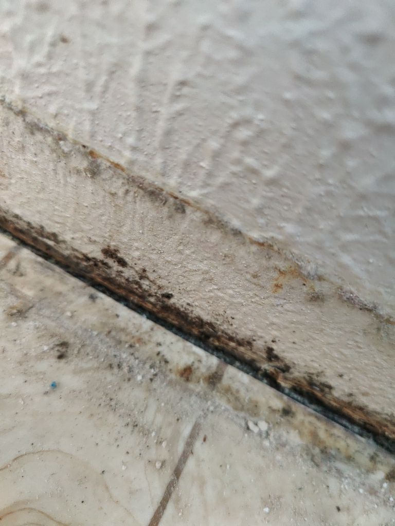 Mold Remediation  by Accountable Home Services