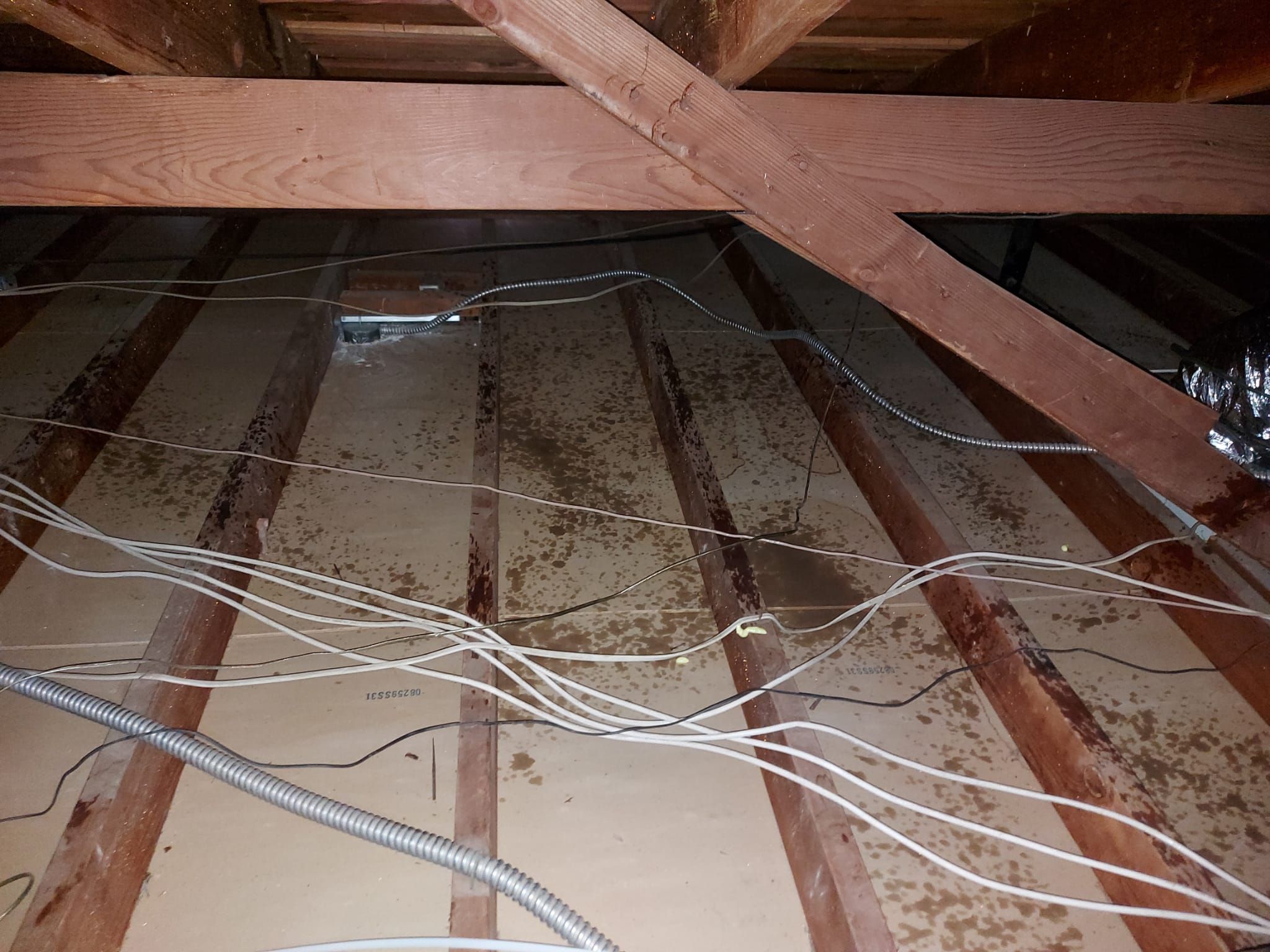 Project in Thousand Oaks by Advanced Attic Solutions