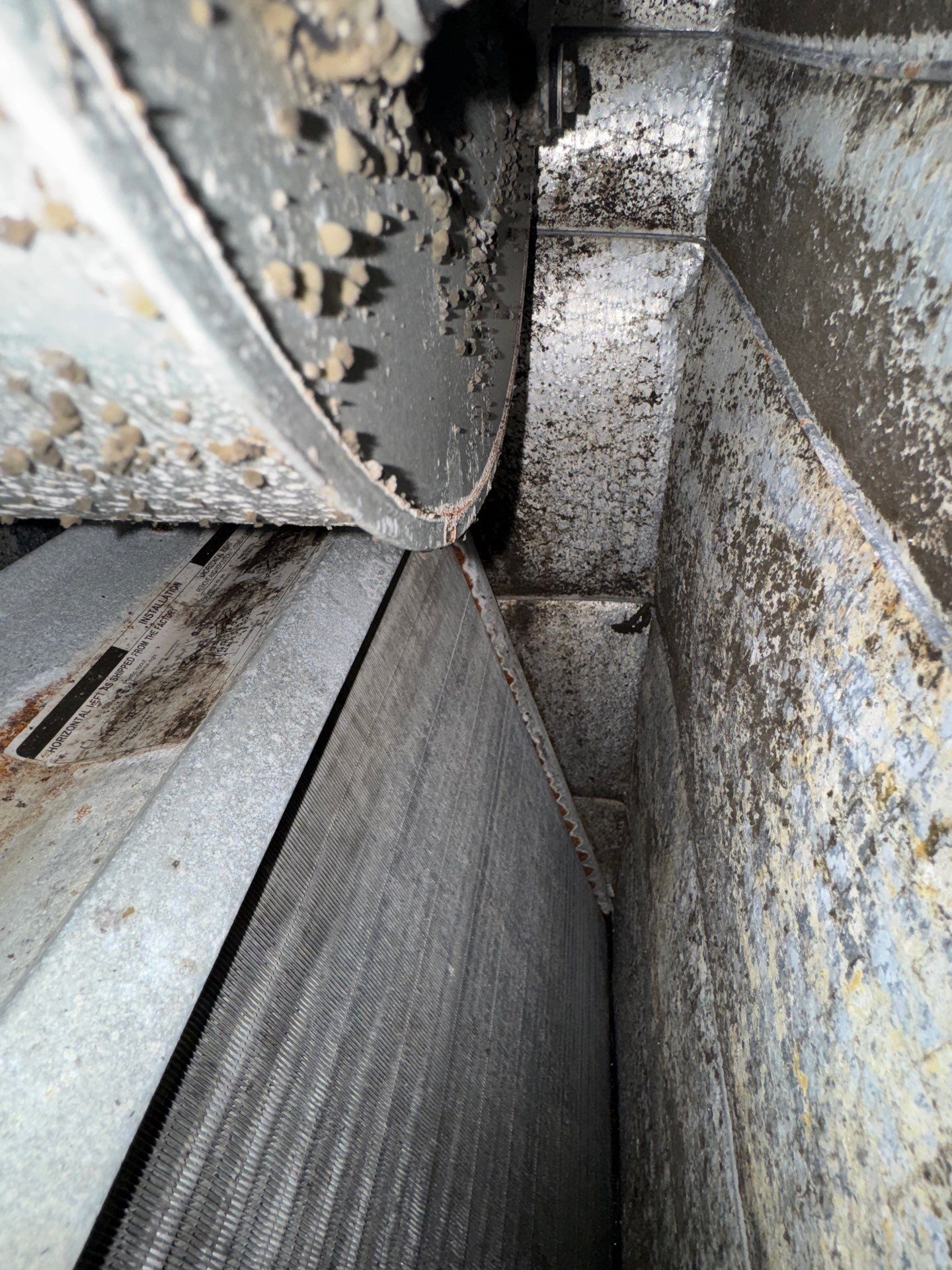 Indoor Air Quality Testing for a real-estate transaction using IR Camera, Moisture Meter, Air Cassatte samples and Tape lifts by Building performance Solutions LLC