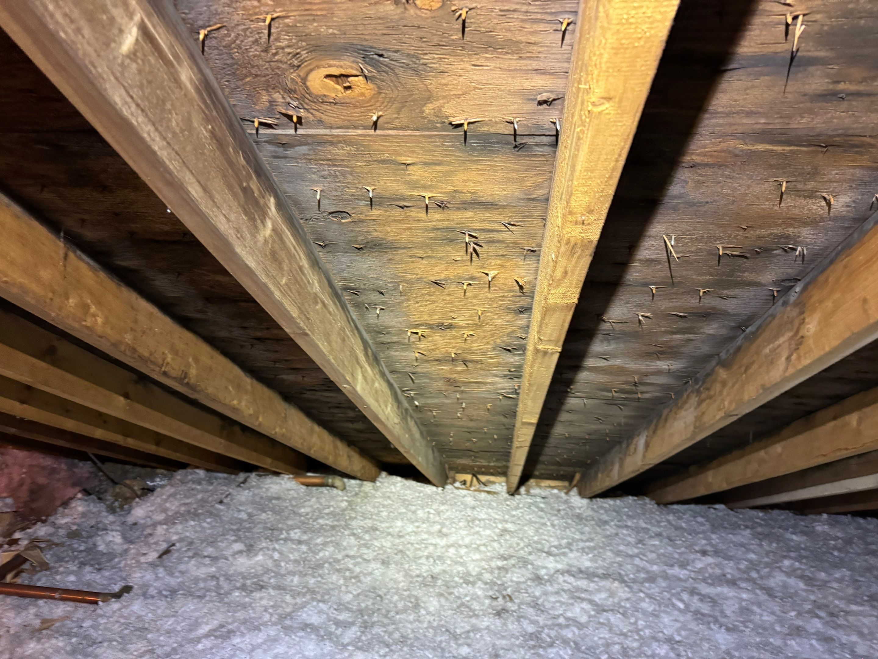 Attic Mold Remediation by Home Guarantee, LLC