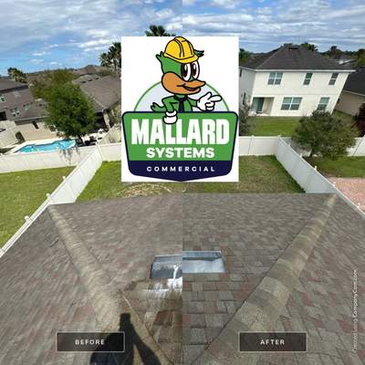 Shingle Roof Cleaning