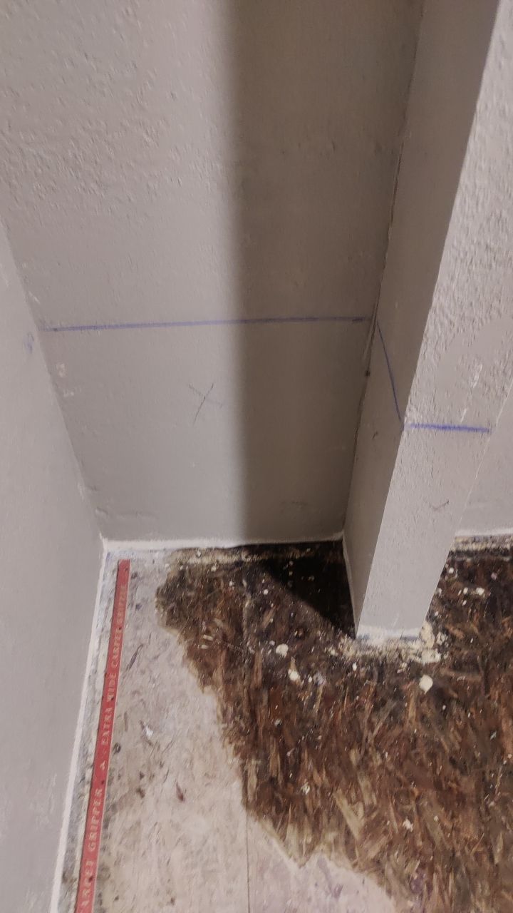 Water Damage Restoration by Accountable Home Services