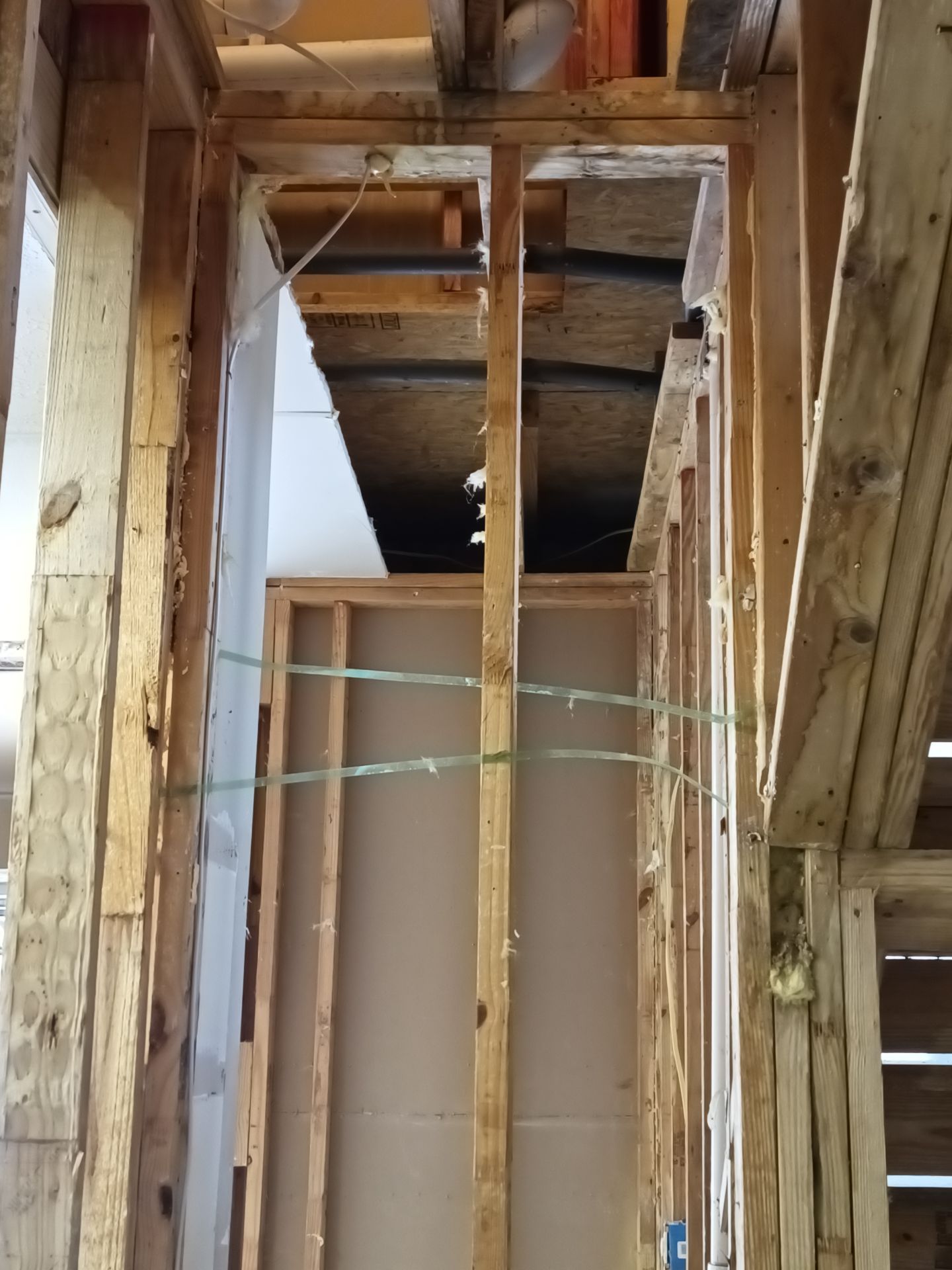Mold Remediation Job in Cypress by Team Home Solutions
