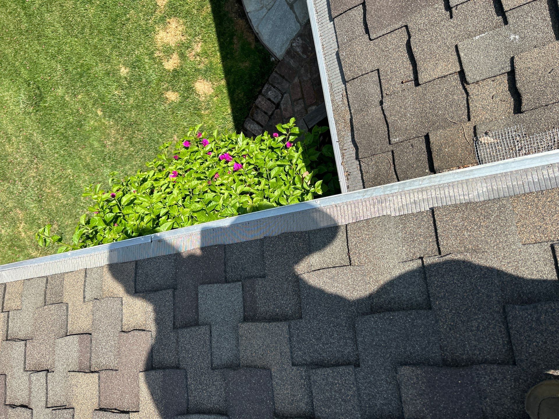 Solar Panel Critter Guard Installation by All One Solar Shine