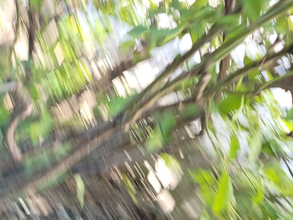 Residential Roofing Installation using GAF Timberline HDZ - Lifetime Shingle by The Roof Doctor