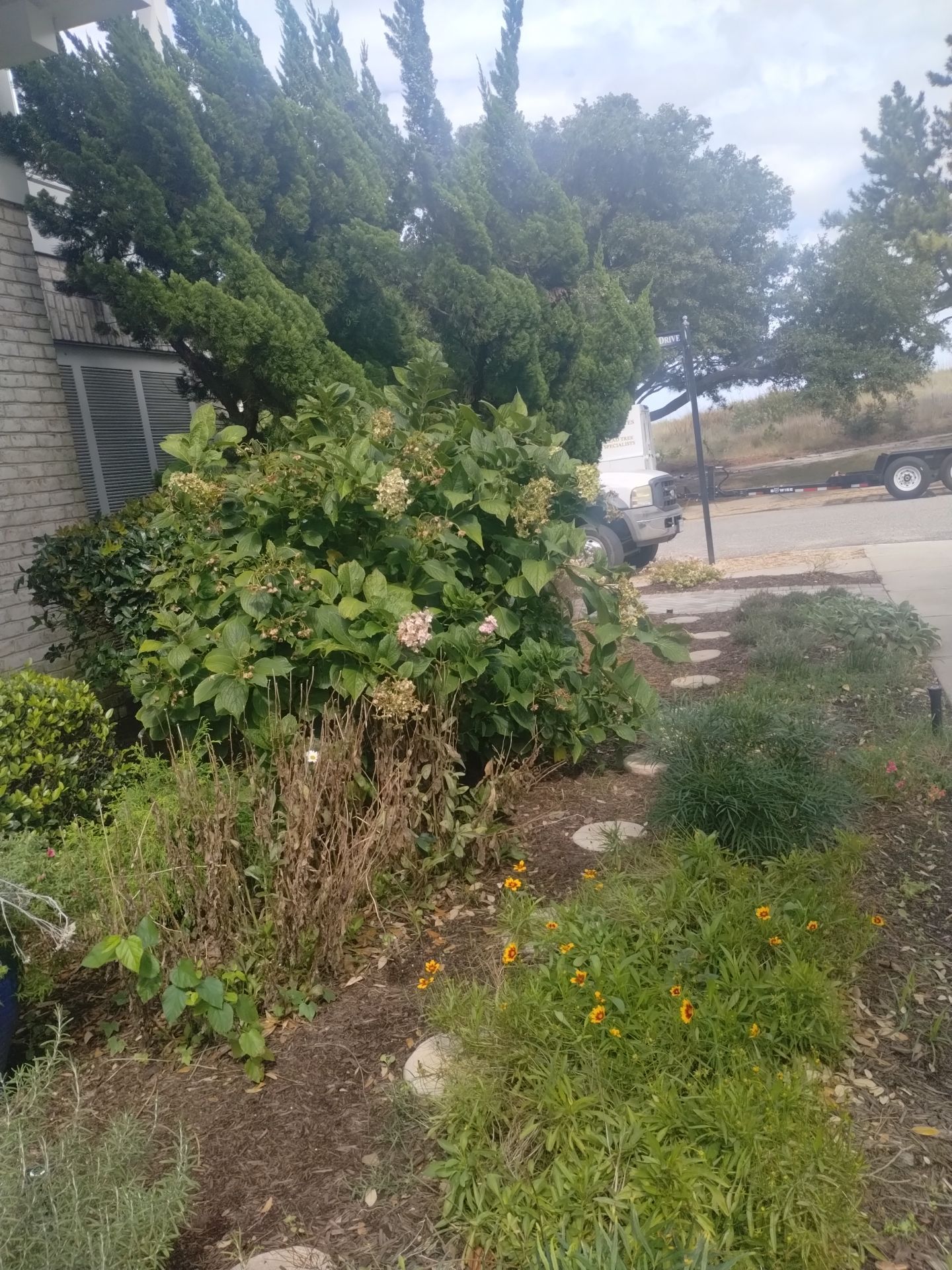 Gardens by Oz featured photo.