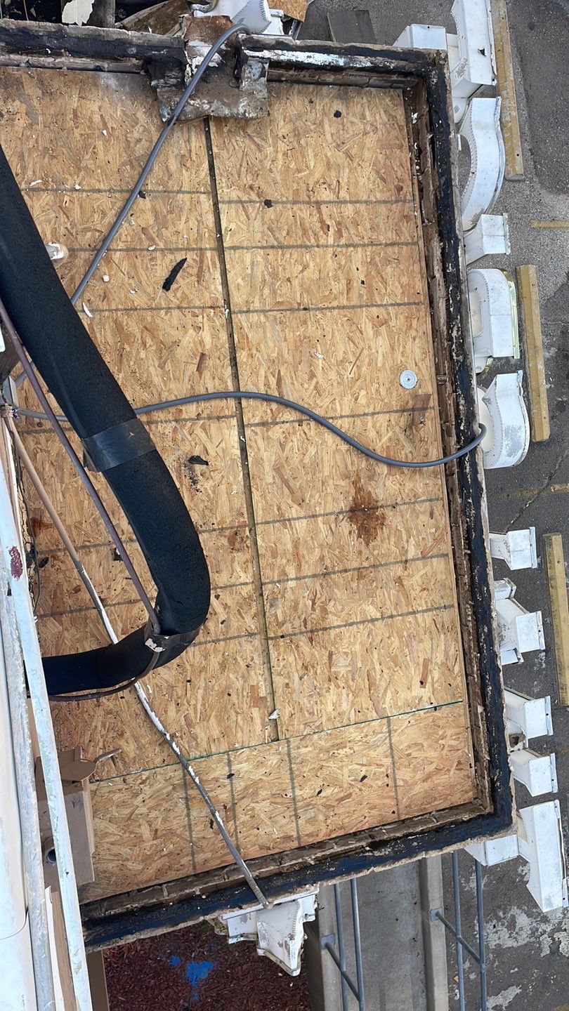 TPO THAI TOP by Bayfront Roofing and Construction