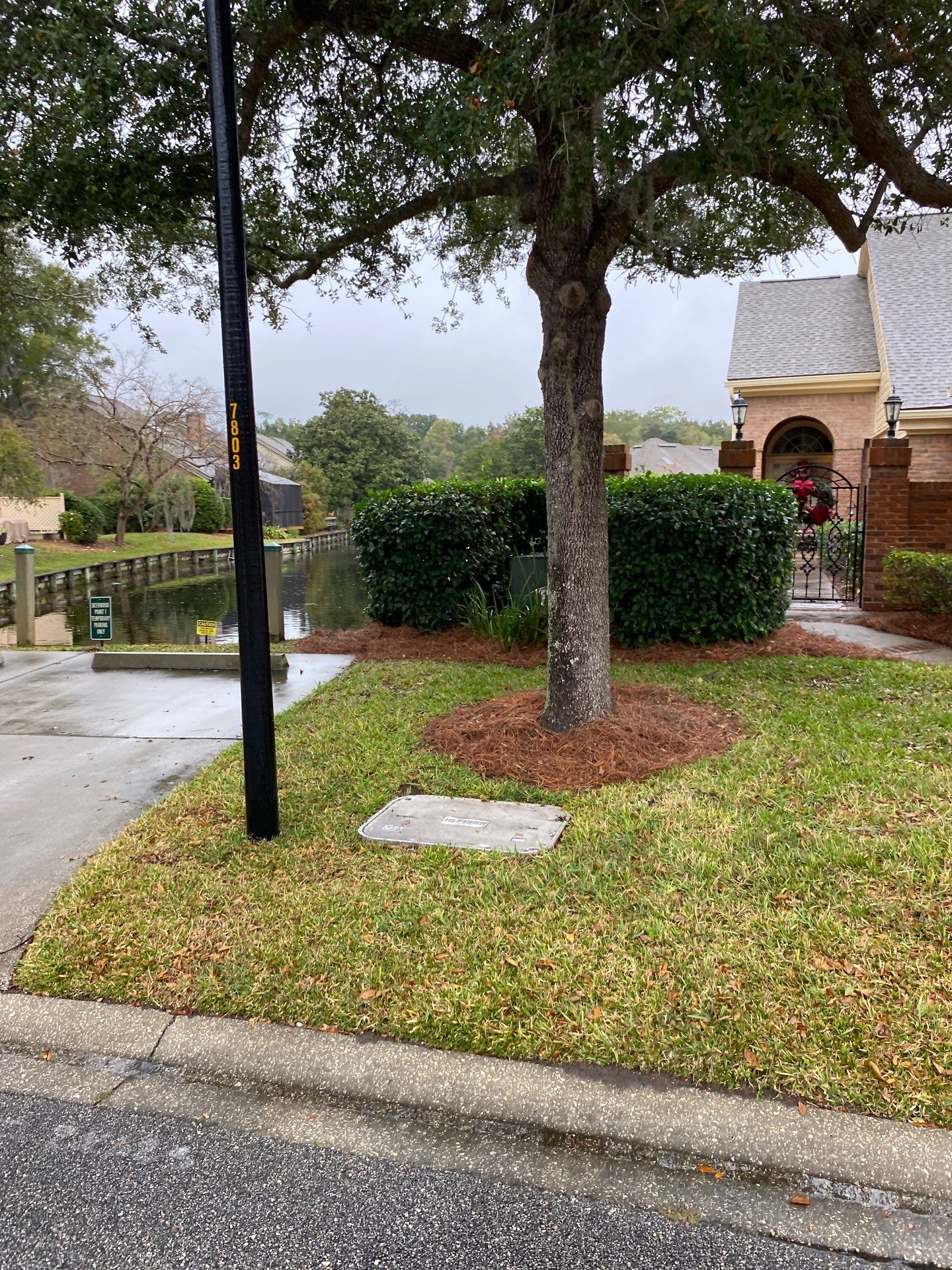 Deerwood Pointe | Tree Removal & Pine Straw Installation by ProGreen Services