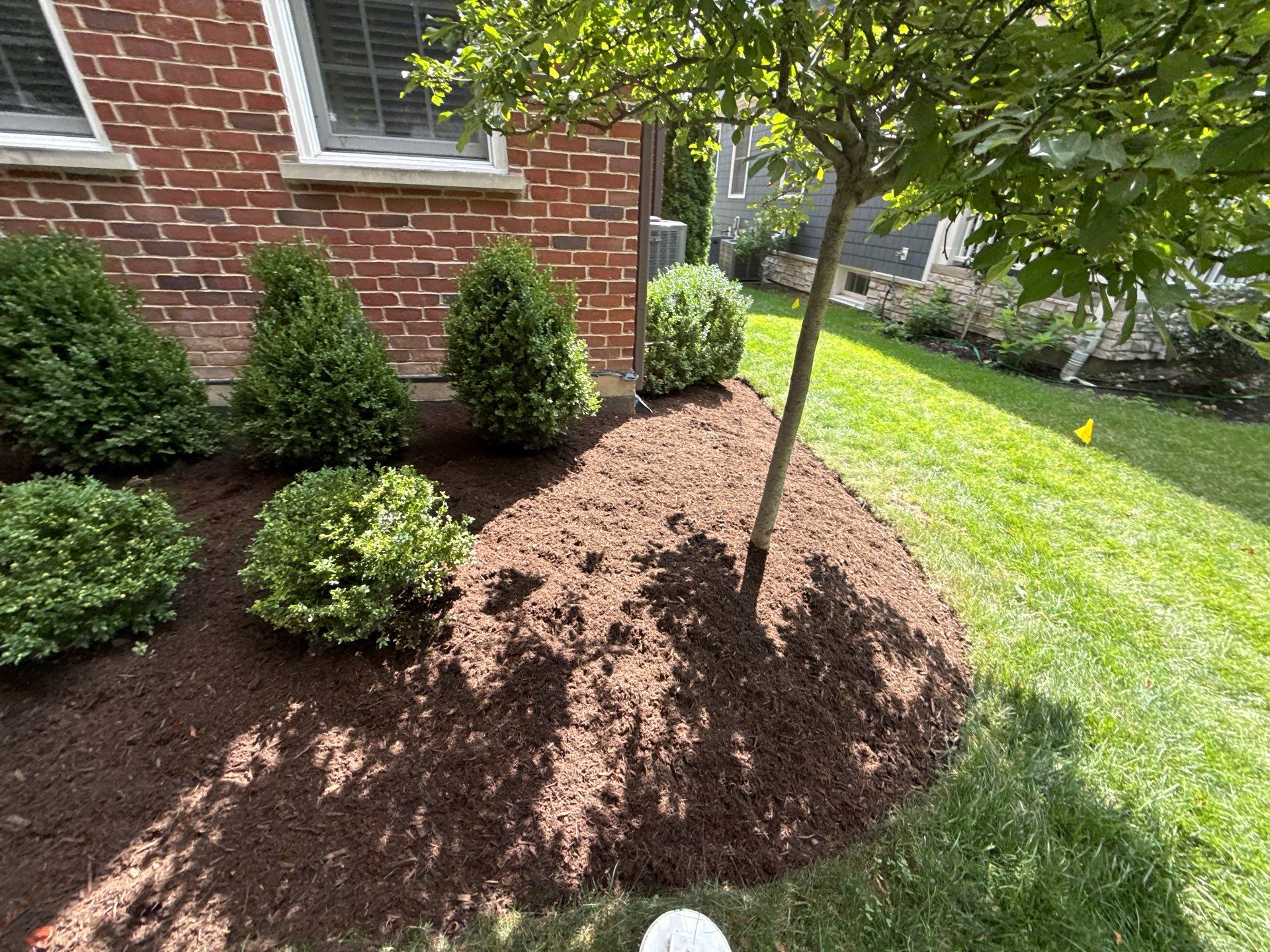 Jason G. - Arlington Heights, IL by A&N