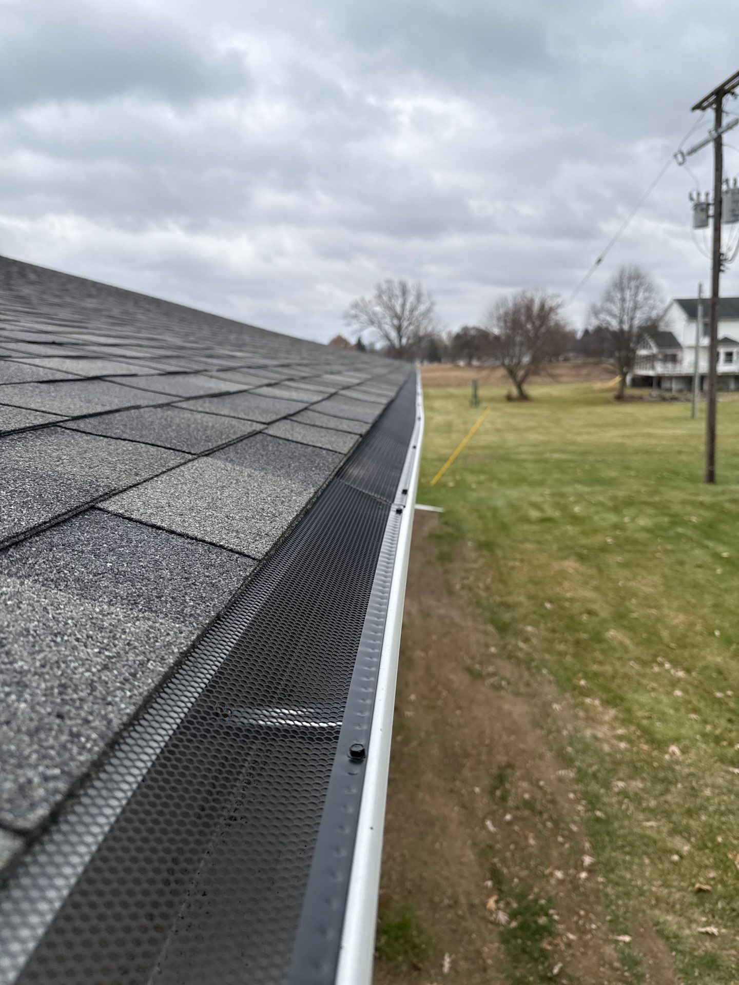 Williamston by Sunrise Seamless