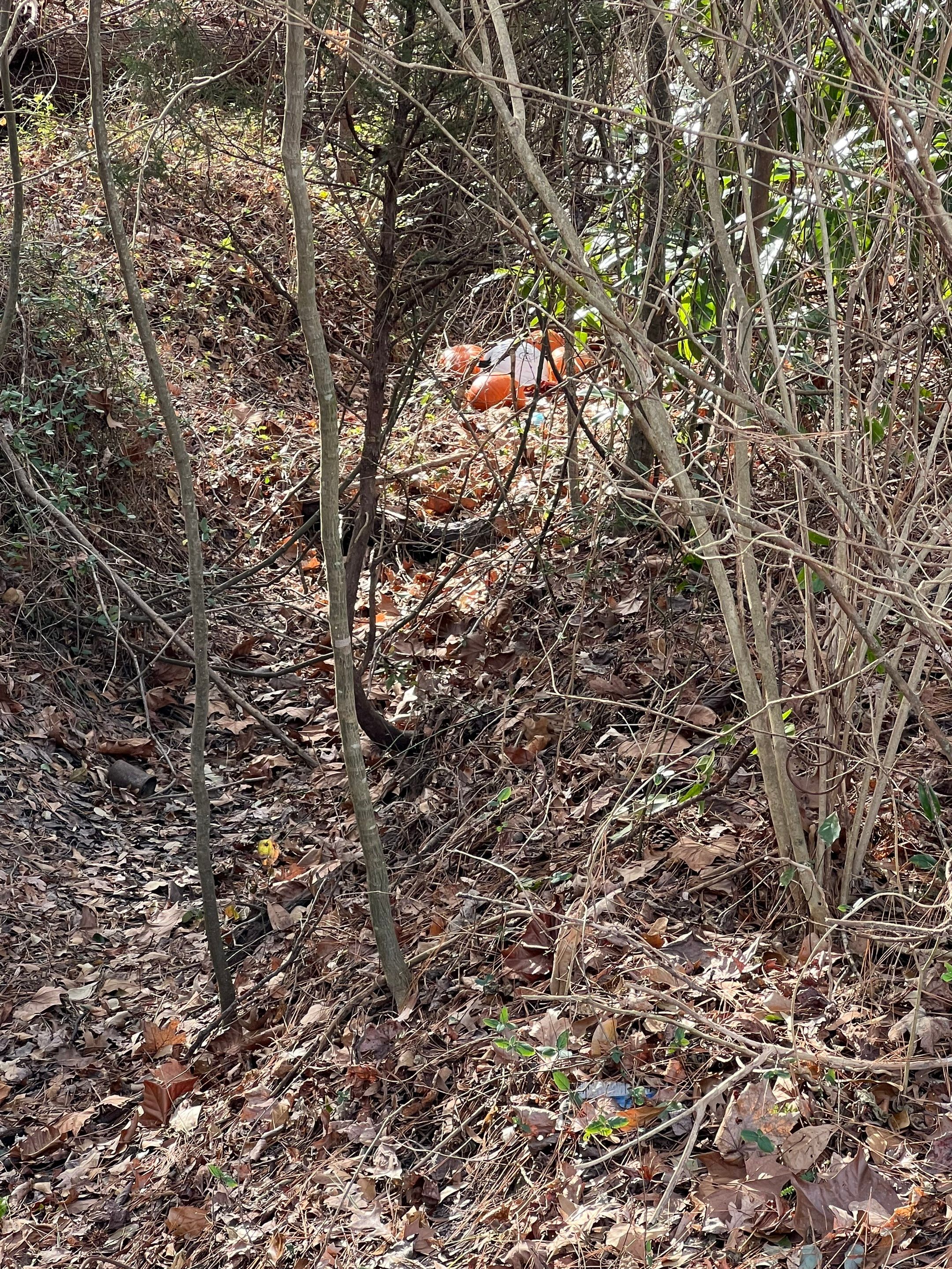 Storm Drain Repair & Drainage Improvements – The Oaks Apartments by S.W. Contracting & Consulting