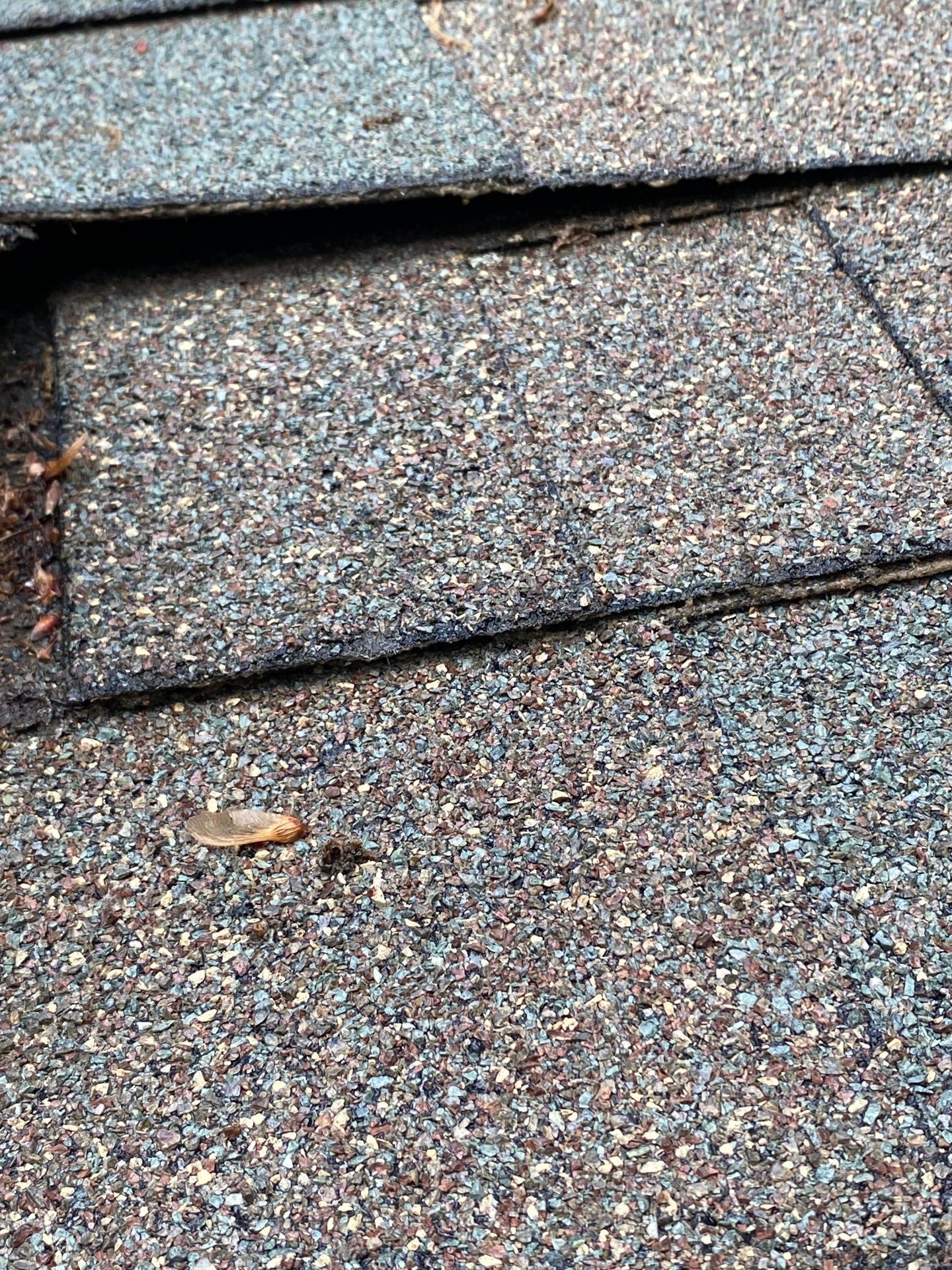 Roofing | Chelmsford by Mighty Dog Roofing of Greater Middlesex County