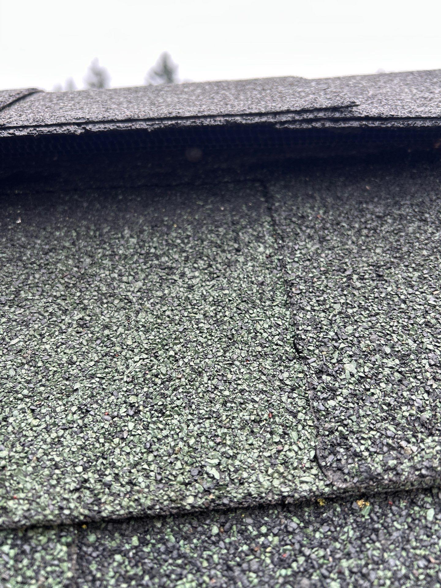 Project in Snohomish by Connolly Construction Company