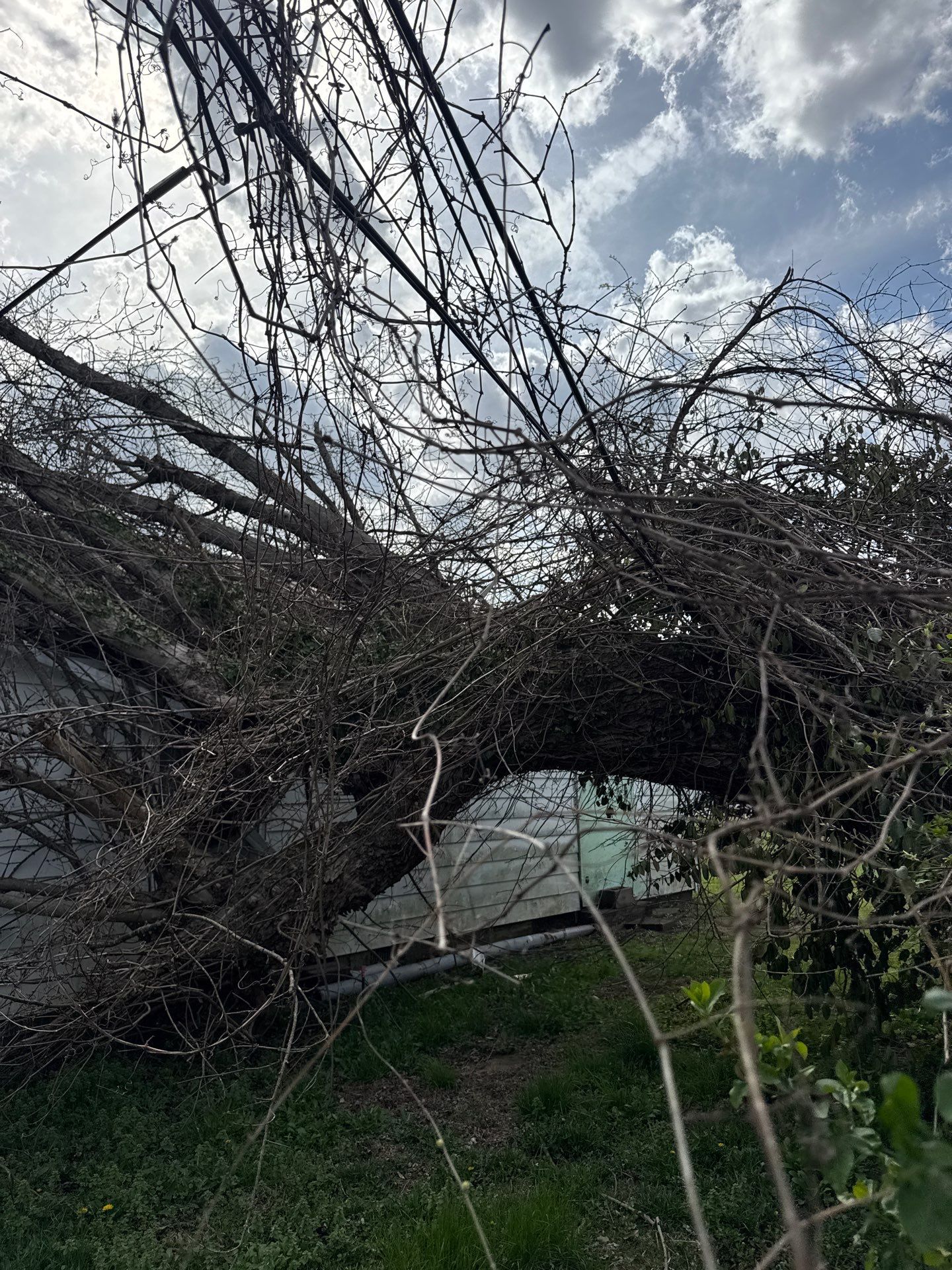 Project in Nitro, WV Rotator Crane Lifts Tree Off House | Nitro WV • One Wrong Move Job | Rotator Crane Tree Removal • Heavy Rescue Tree Job | Nitro WV • Extreme Tree Removal Over Home | Nitro WV by Jones Empire LLC