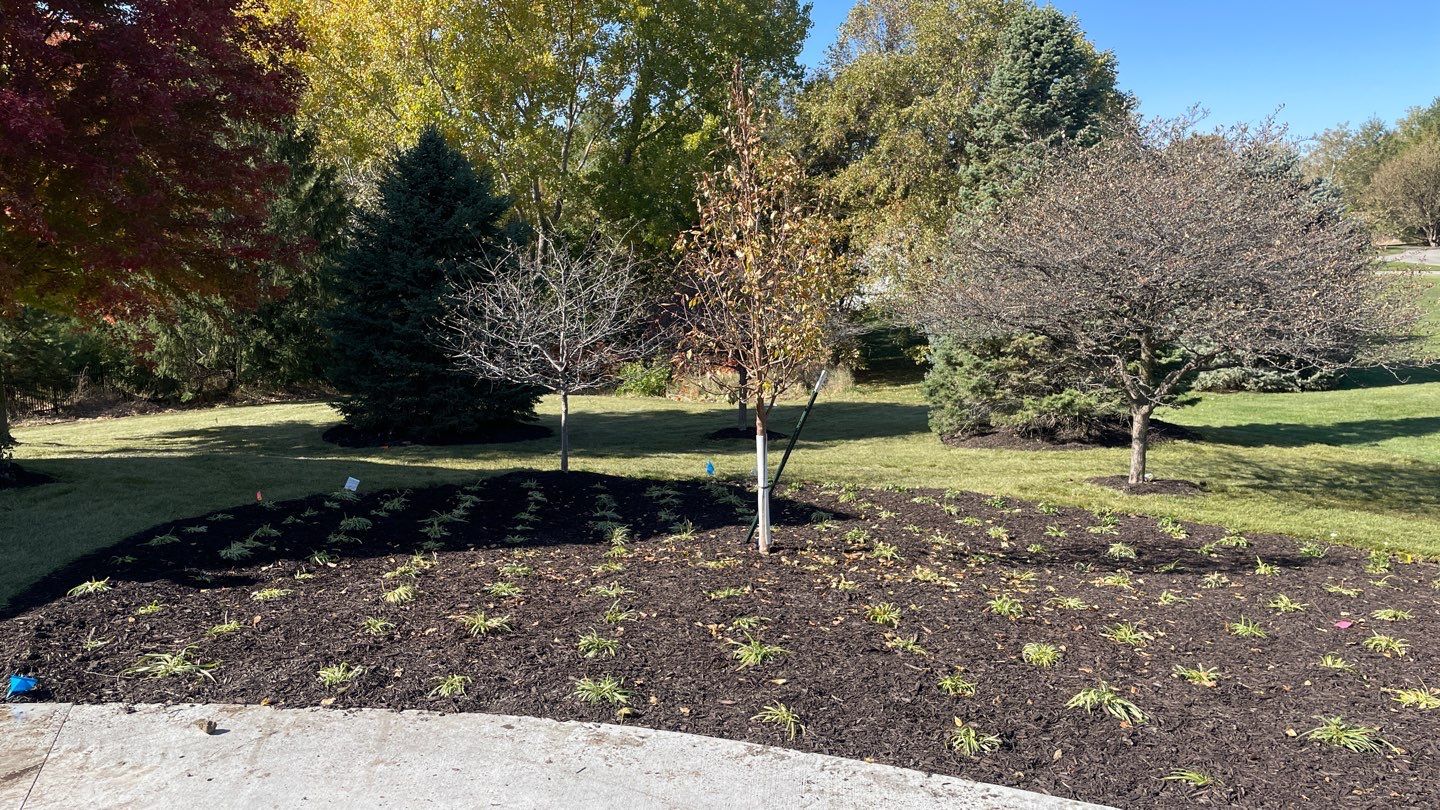 Landscape Bed Updates.  by New Horizon Landscapes