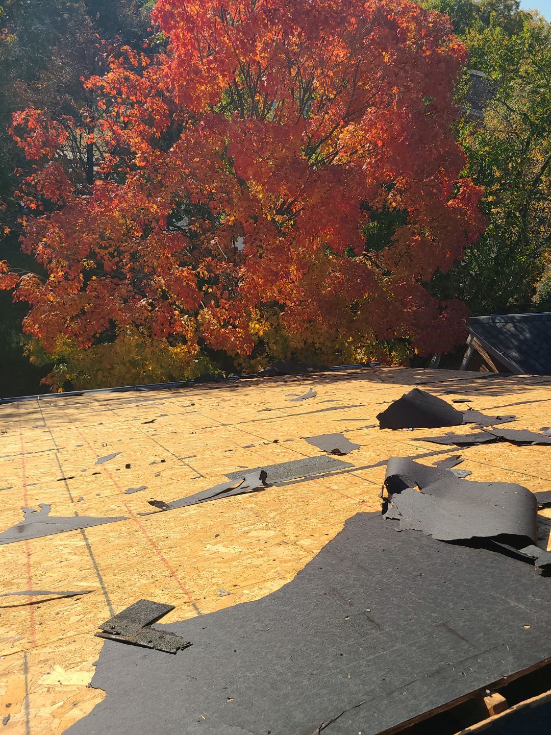 Alexandria: Residential Roof Replacement with CertainTeed Landmark Pro Designer Shingles in Max Def Moire Black by RM Banning, Inc.