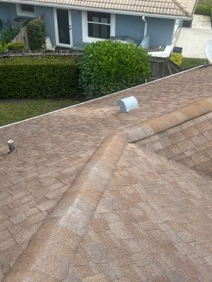 Project in Wellington