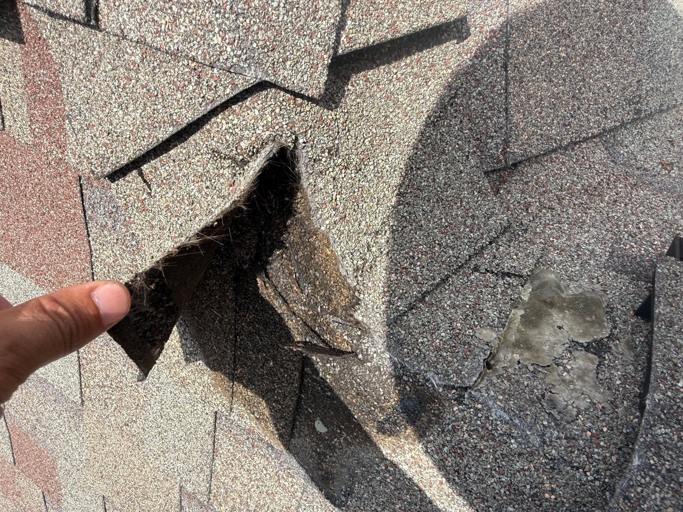 Roof Repair Spring by Roof Repair Company